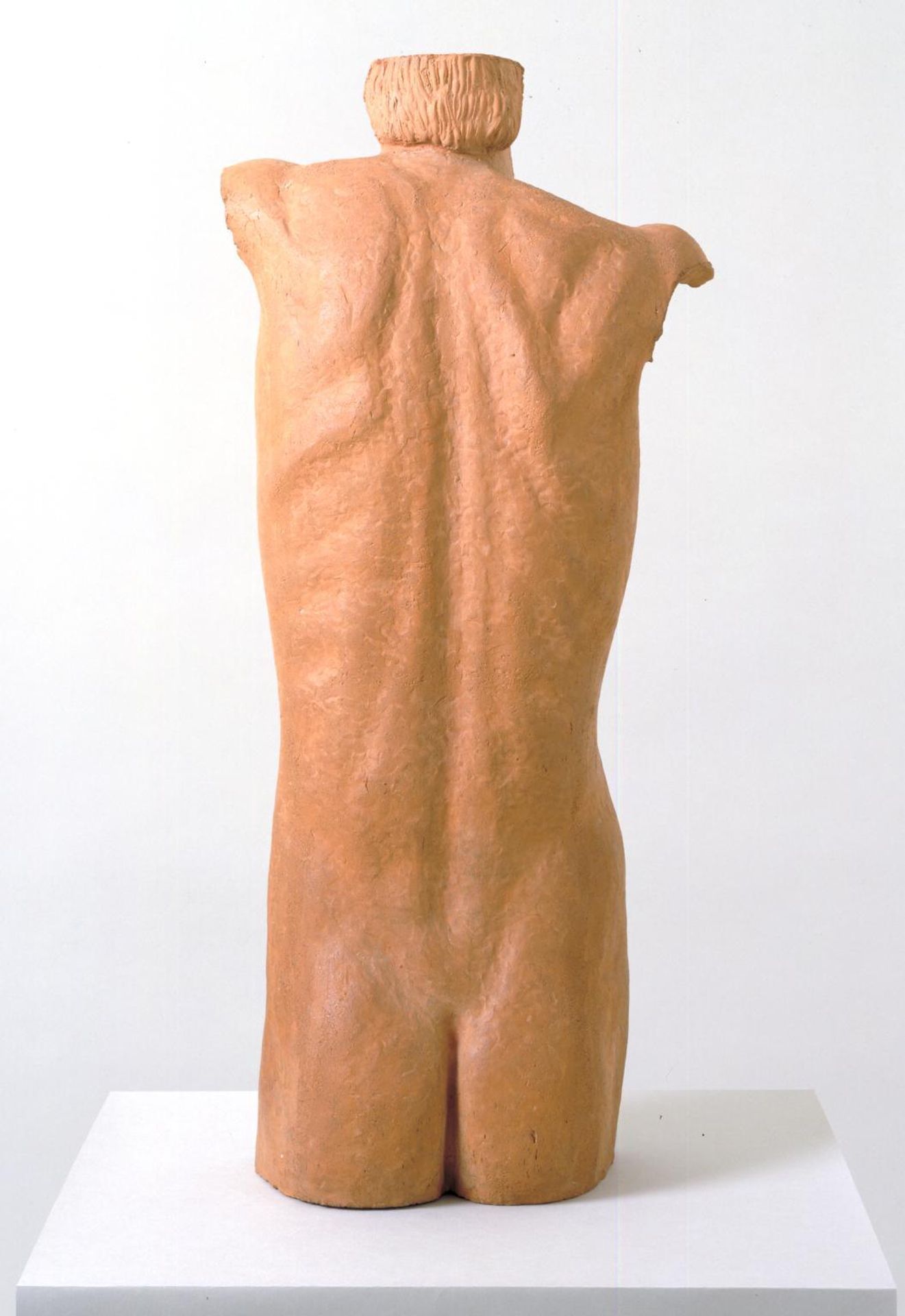 Torso of a Young Man by  Arturo Martini