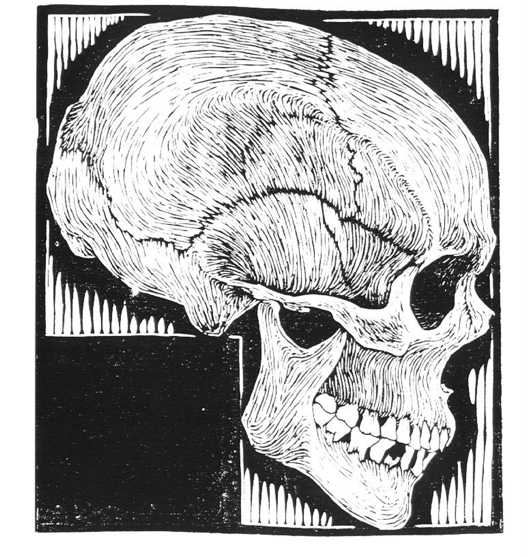 Skull by M.C. Escher