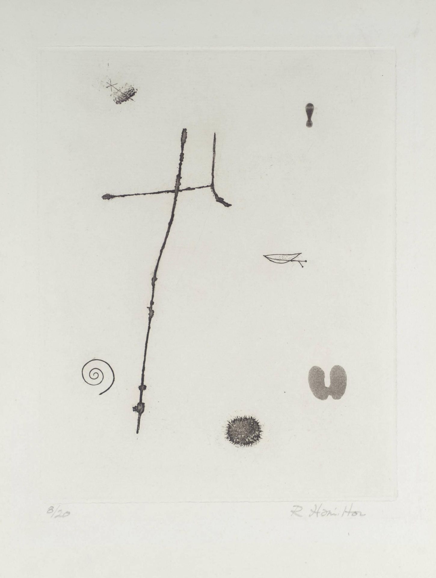 Heteromorphism by Richard Hamilton