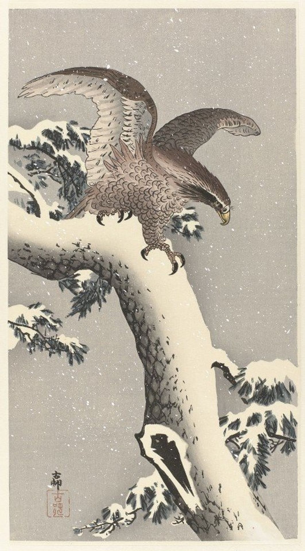 Eagle on snowy pine tree by Ohara Koson