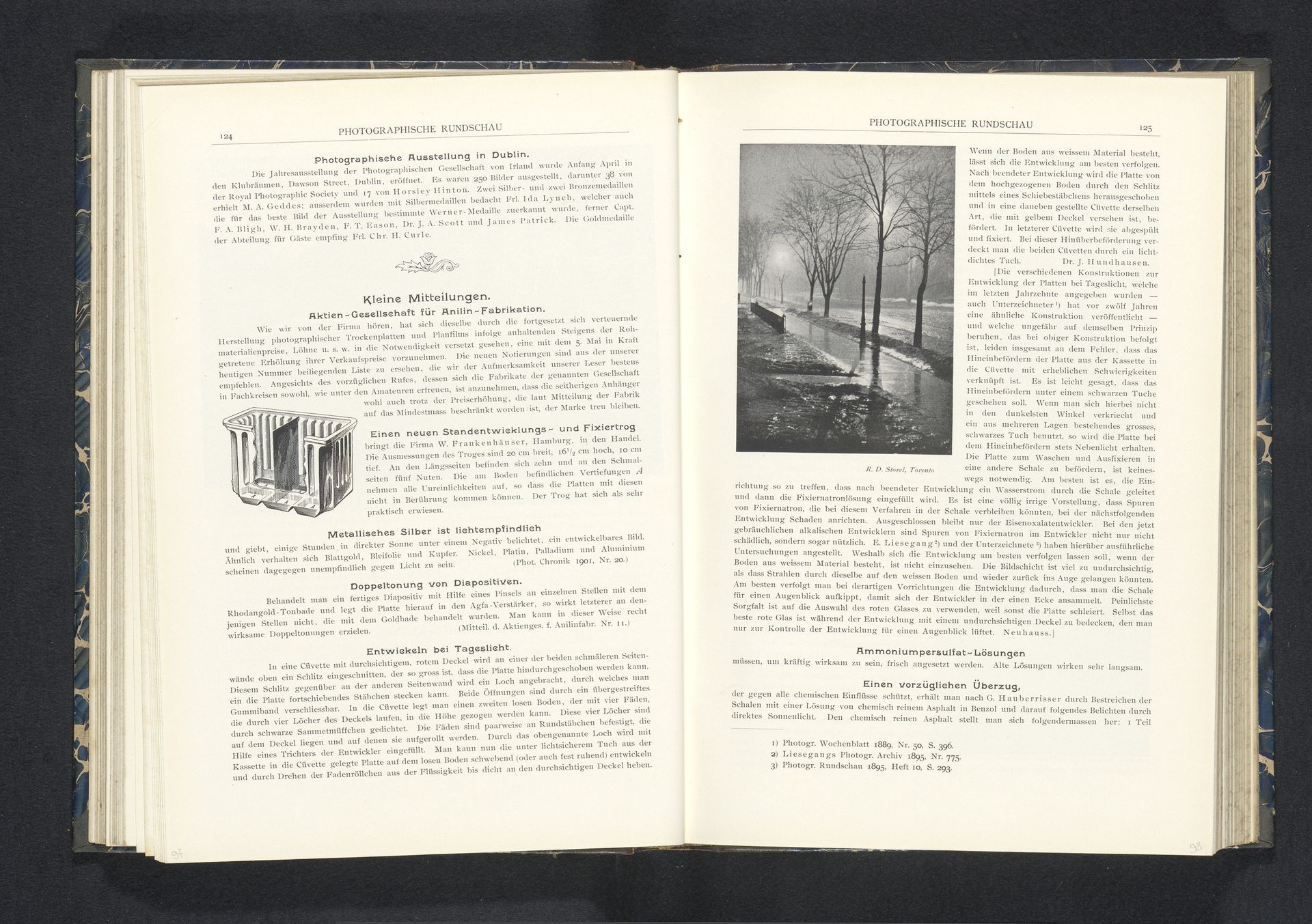 Bevroren sloot in de schemer by R.D. Storel