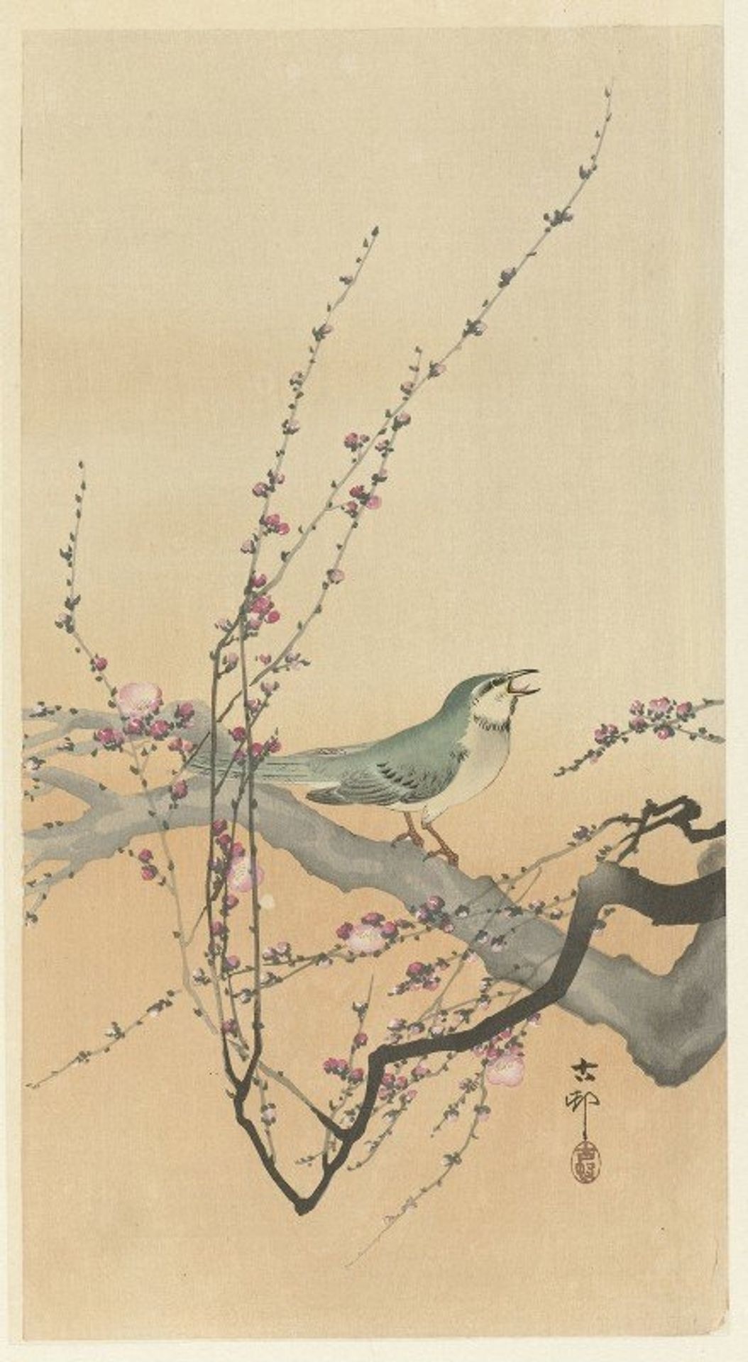 Songbird and plum blossom by Ohara Koson