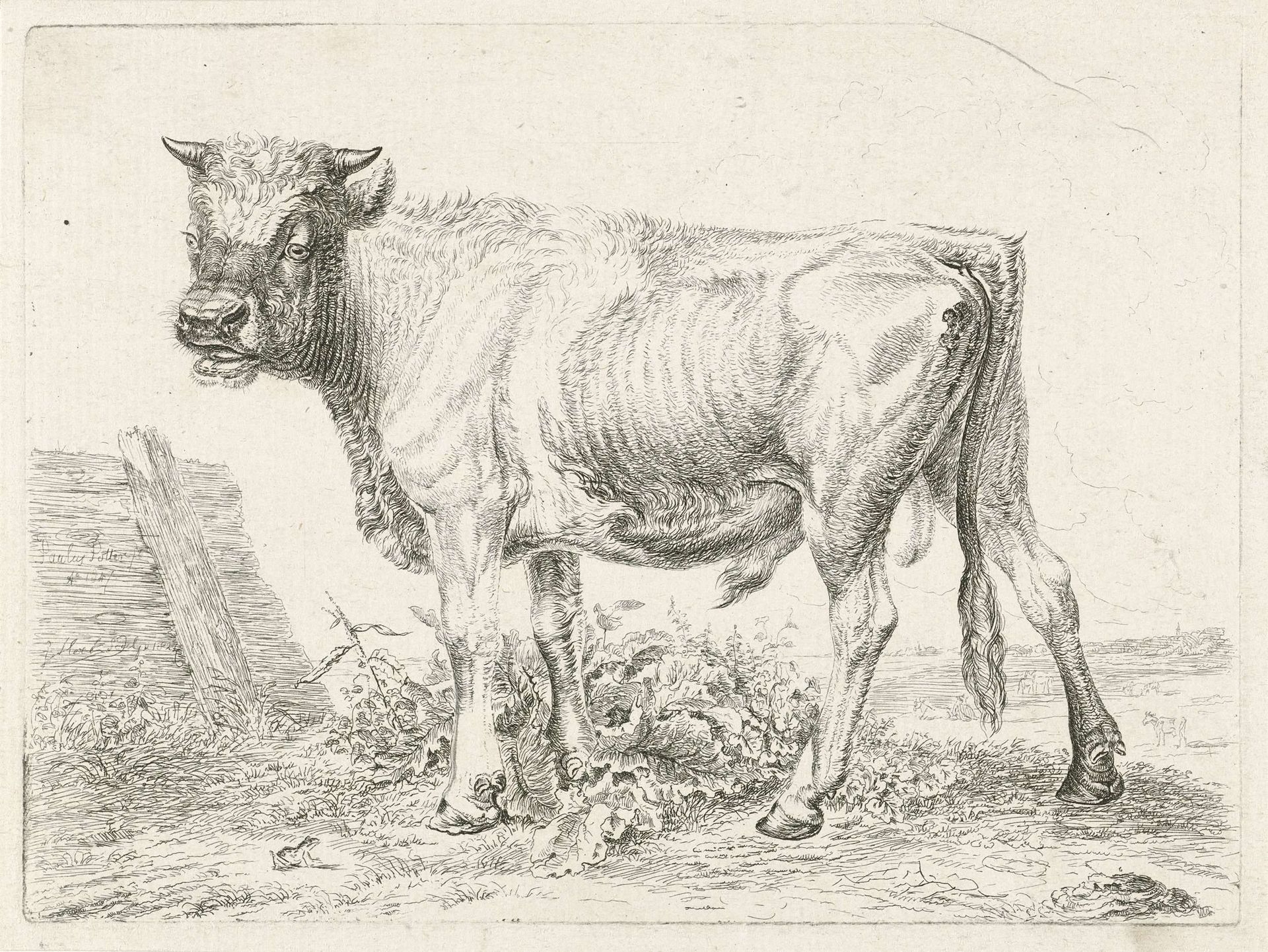 Stier by Johannes Mock