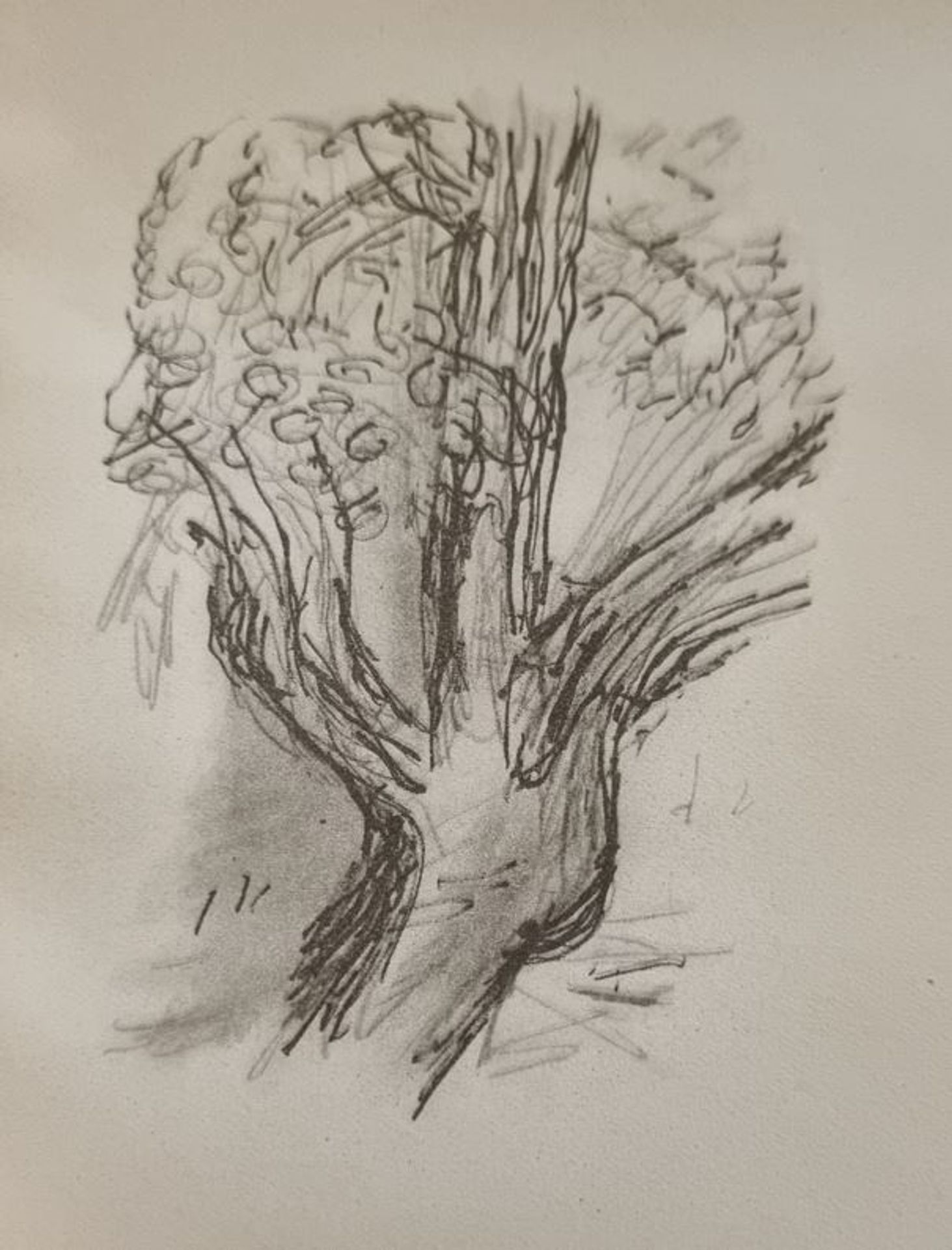 Czóbel Béla, Fa 1956, (Őszi Kert Könyv Illusztráció) by Bela Czobel