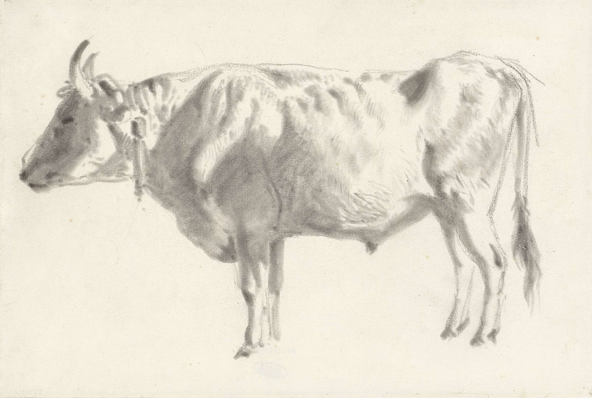 Studie van een os, in profiel by Johan Daniël Koelman