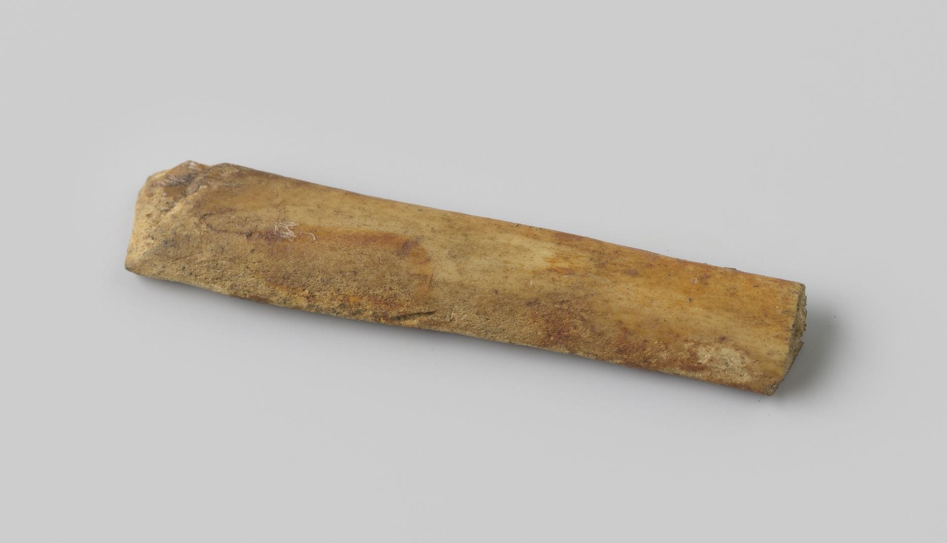 Fragment dierlijk rib uit het wrak van de Oost-Indiëvaarder Hollandia by niet van toepassing