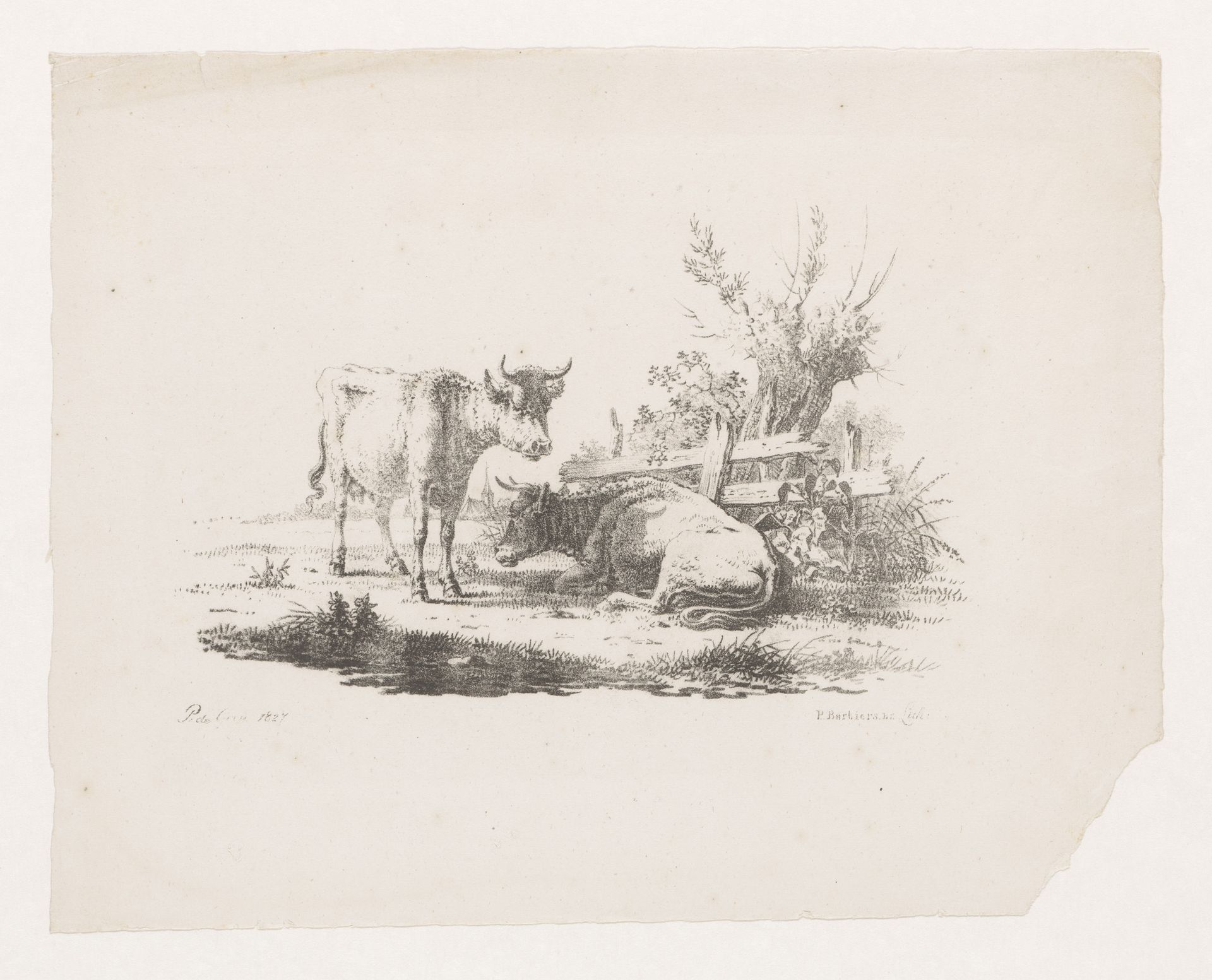 Twee koeien bij een hek en een knotwilg by Pieter de Goeje