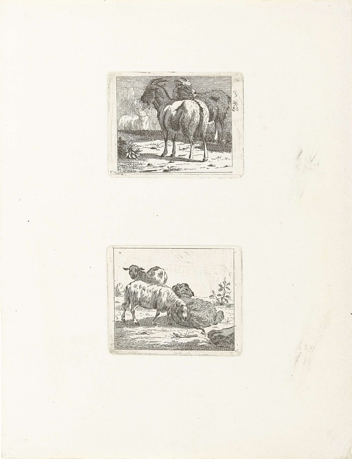 Twee voorstellingen met schapen en geiten by Jan Matthias Cok