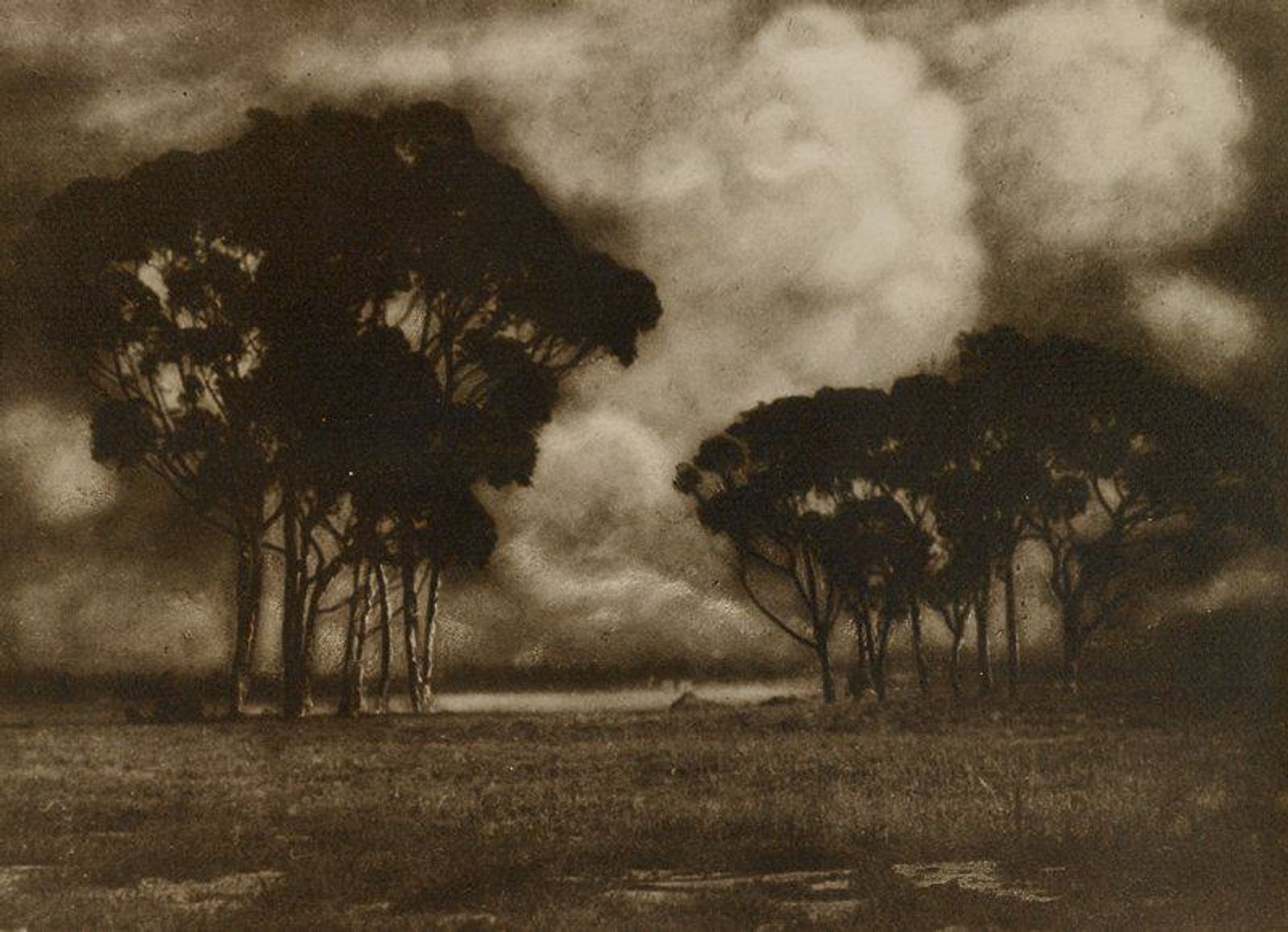 Untitled by Edward W. Trevelyan