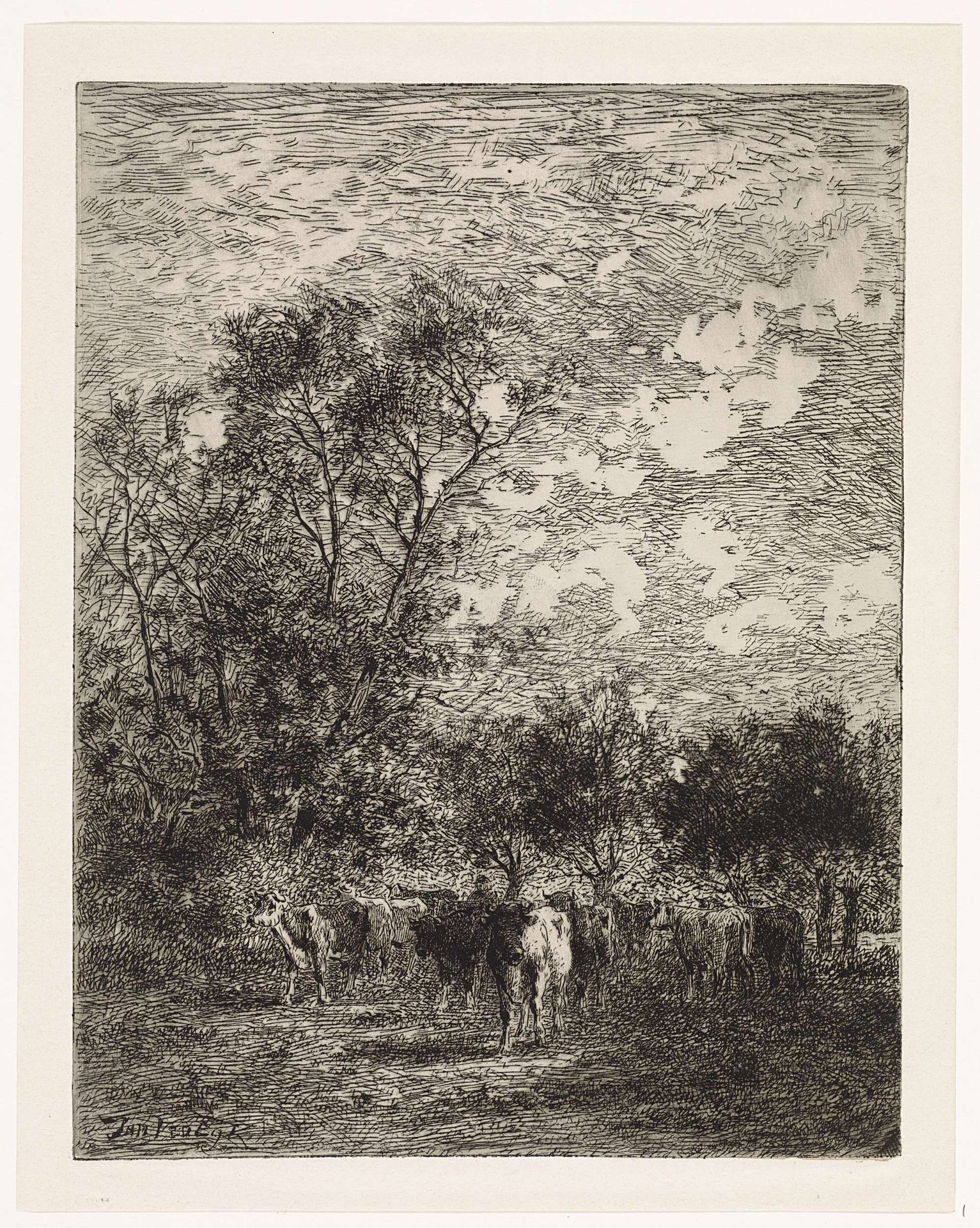 Koeien op een open plek, bij wilgen by Jan Vrolijk