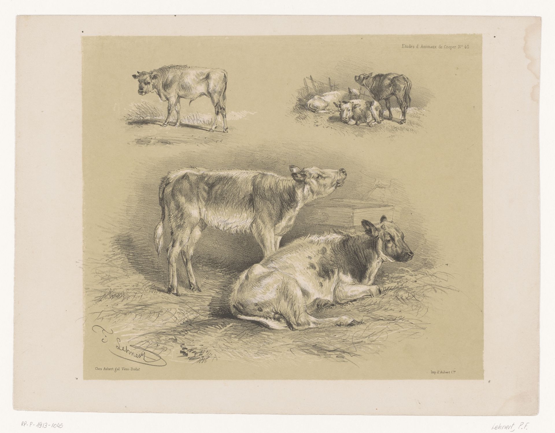 Drie studies van runderen by Pierre Frédéric Lehnert
