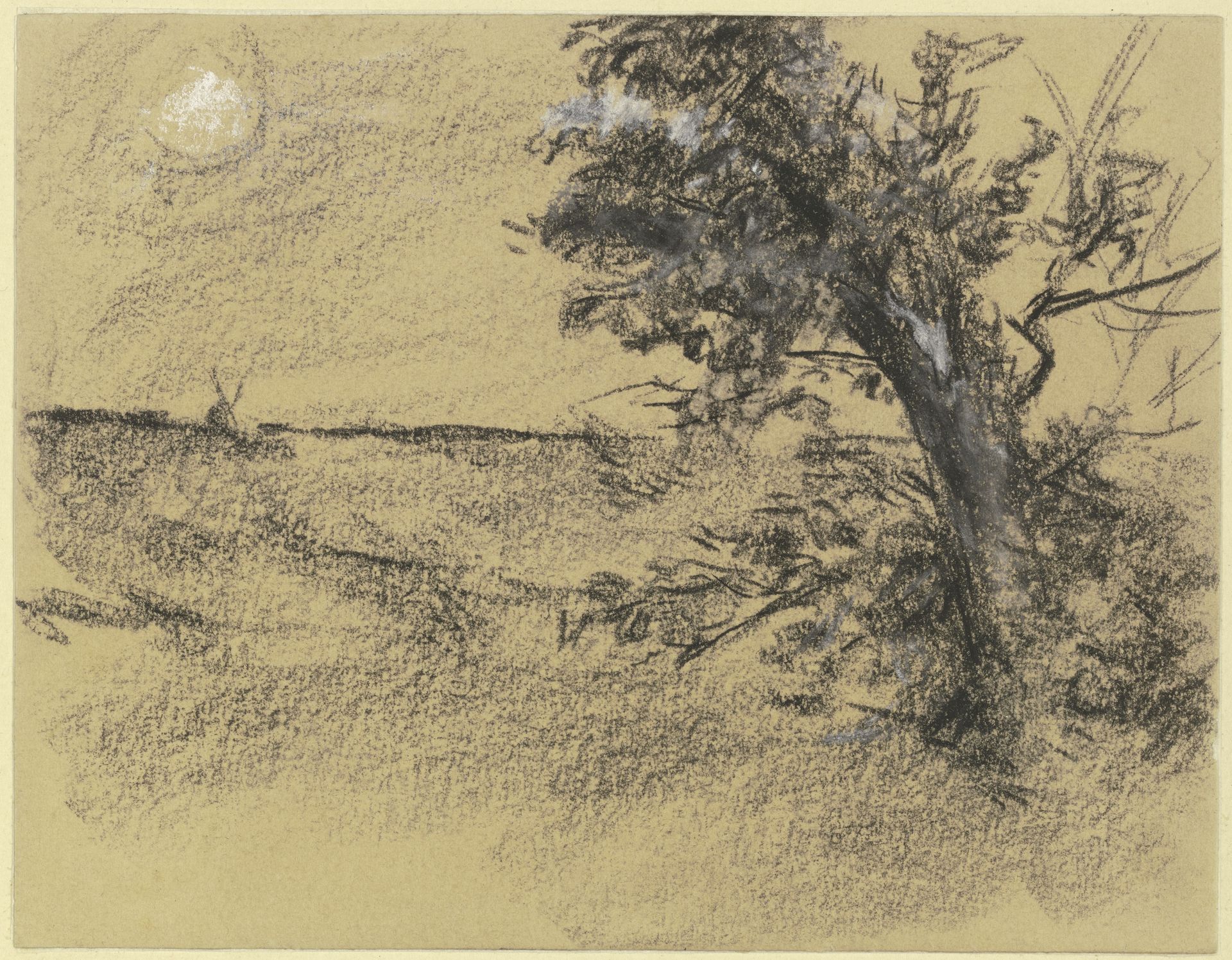 Alder at the edge of a meadow by Max Liebermann