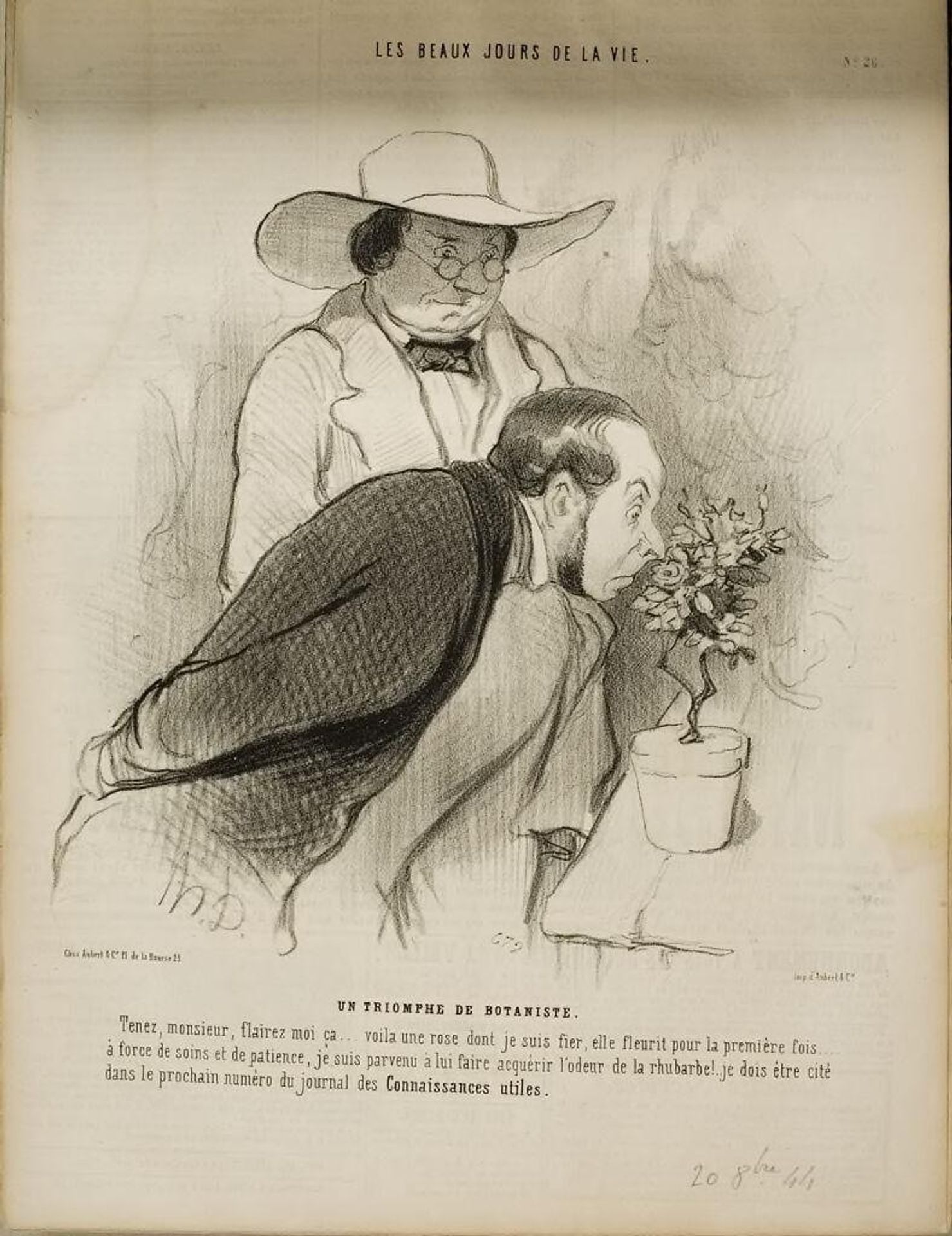 The Botanist's Triumph by Honoré Daumier