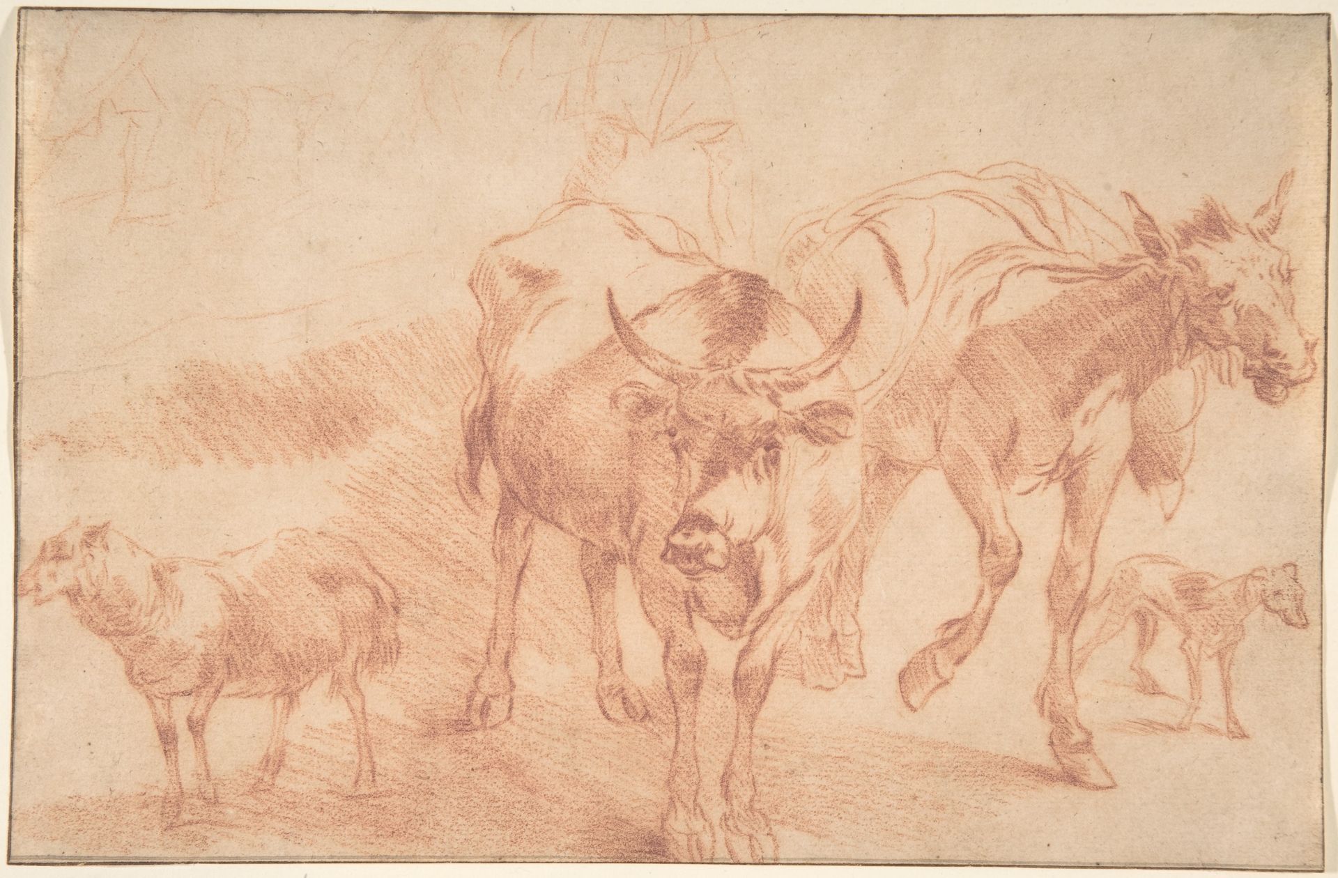 Animal Studies by Nicolaes Berchem