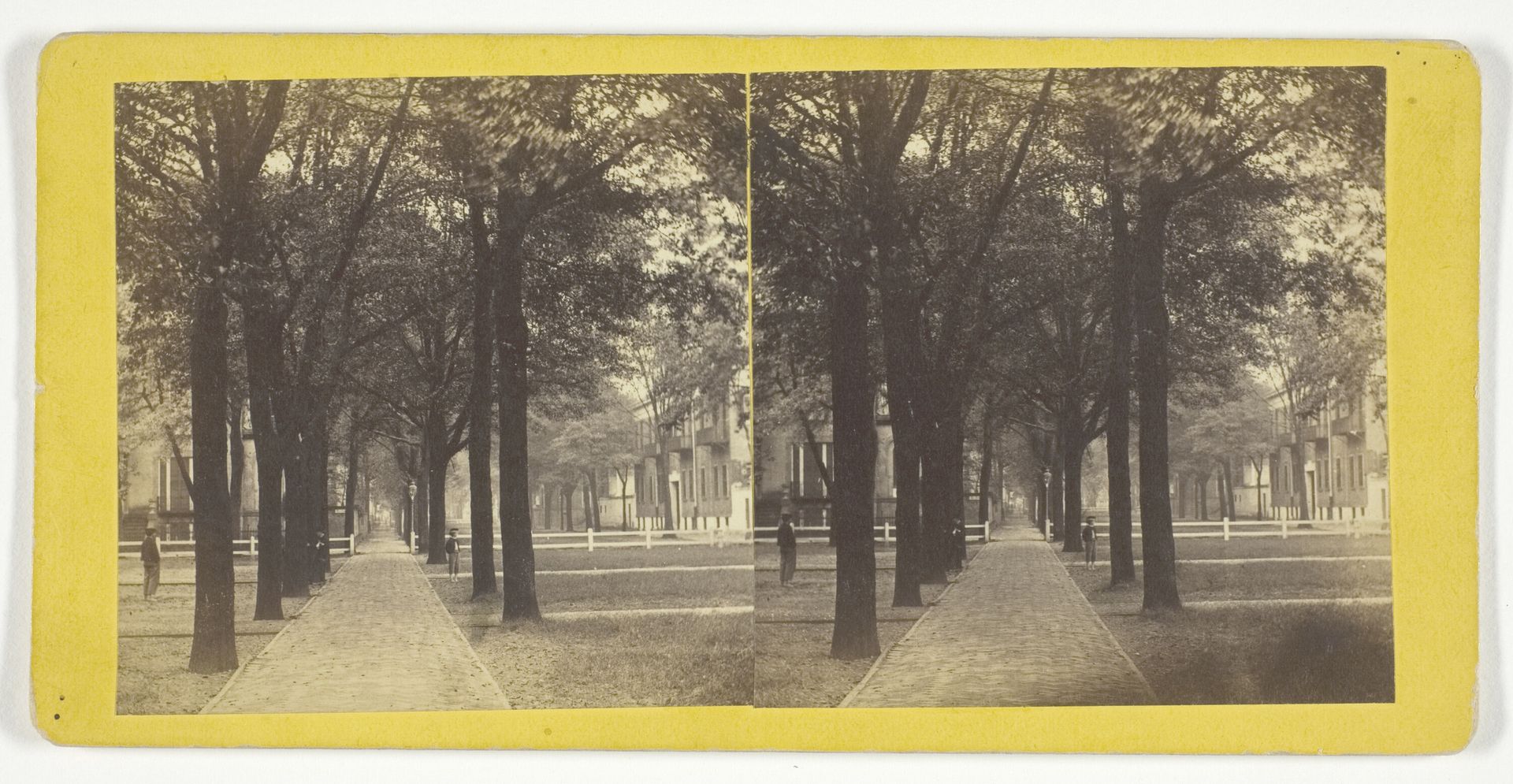 Bull St. from Madison Square by J. N. Wilson