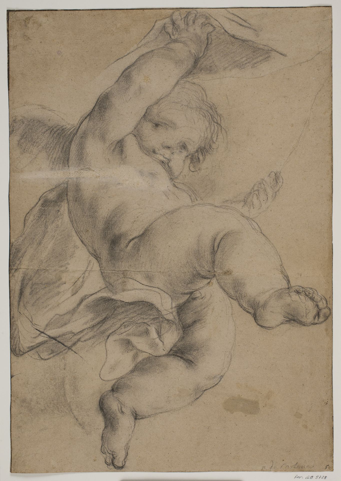 Flying putto lifting a curtain by Pietro da Cortona