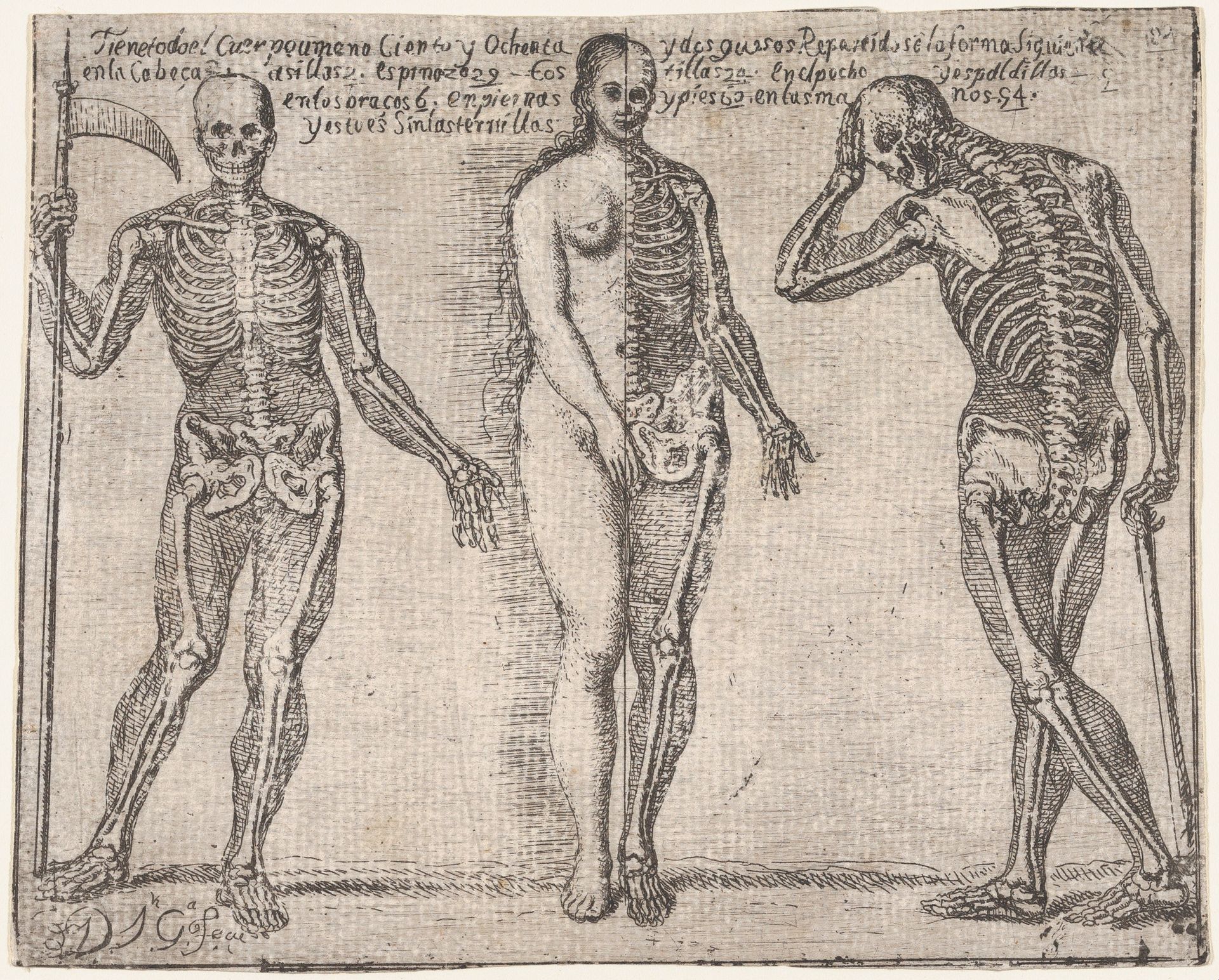 Studies of three skeleton, from the 'Principios para estudiar el Nobilísimo y Real arte de la Pintura' (Madrid 1693) by José García Hidalgo