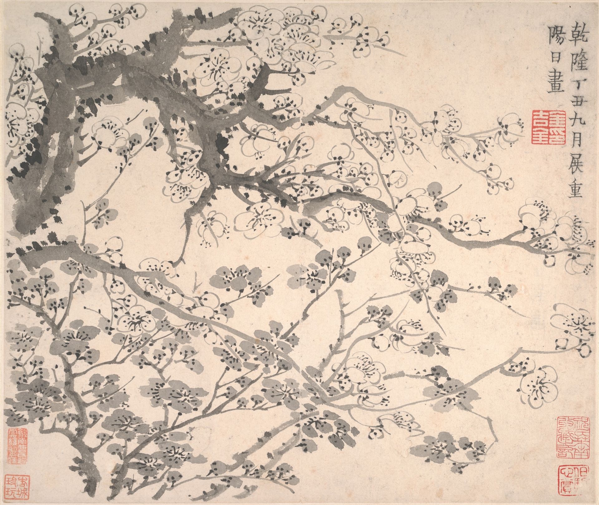 Plum blossoms by Jin Nong