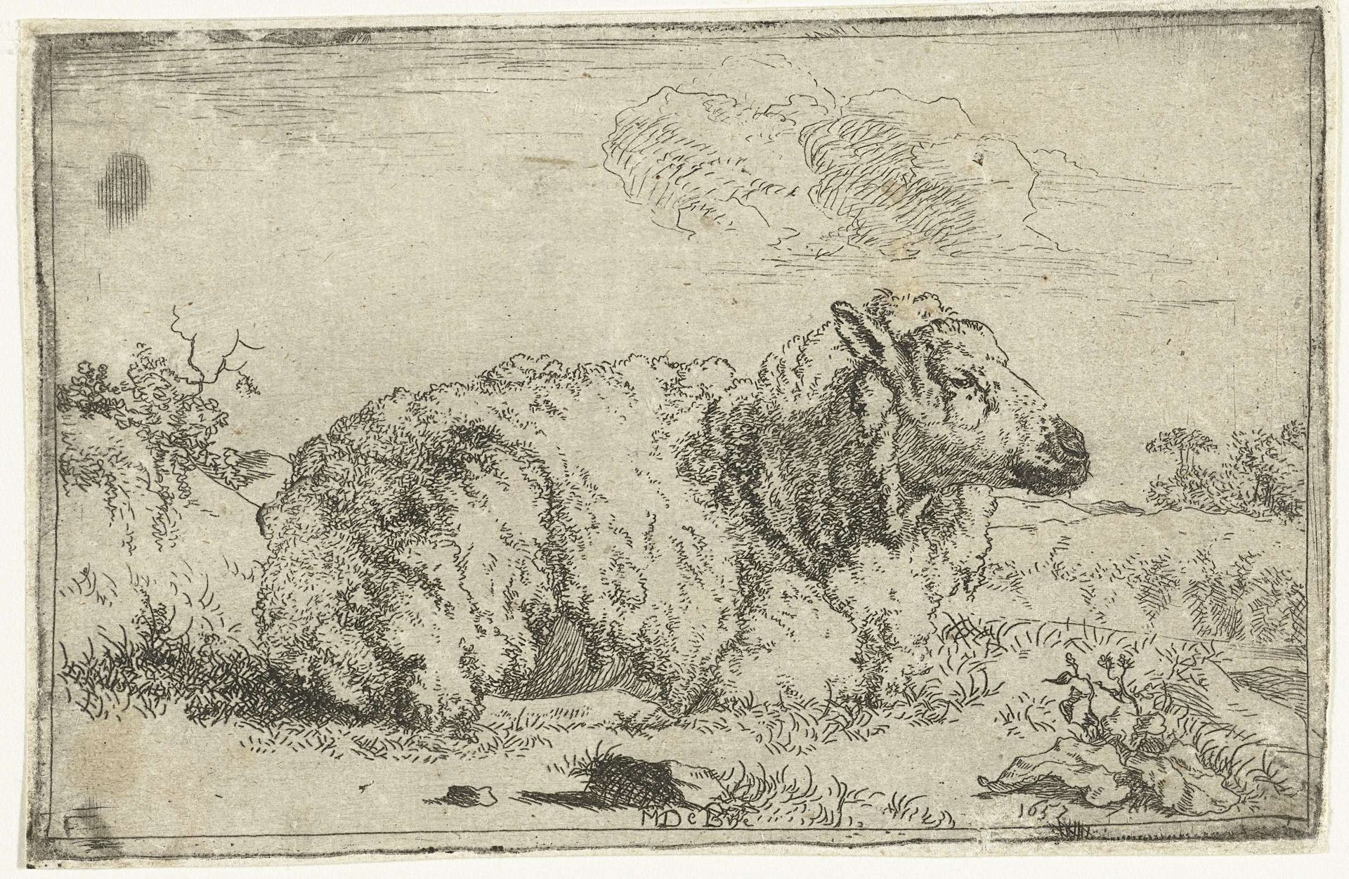 Rustend schaap, en profil by Marcus de Bye