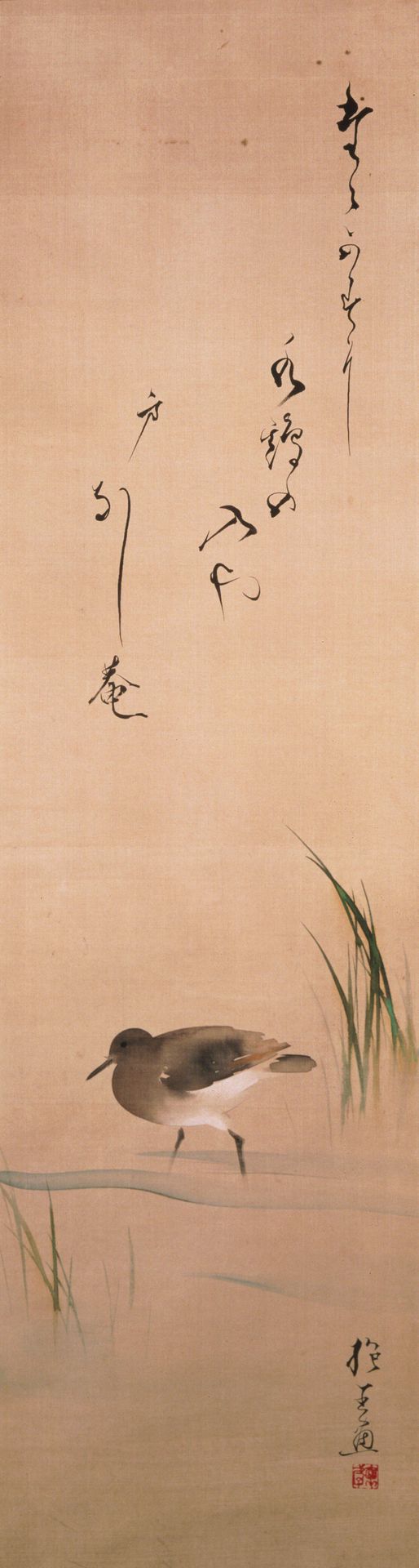 Waterbird and Grass by Sakai Hōitsu