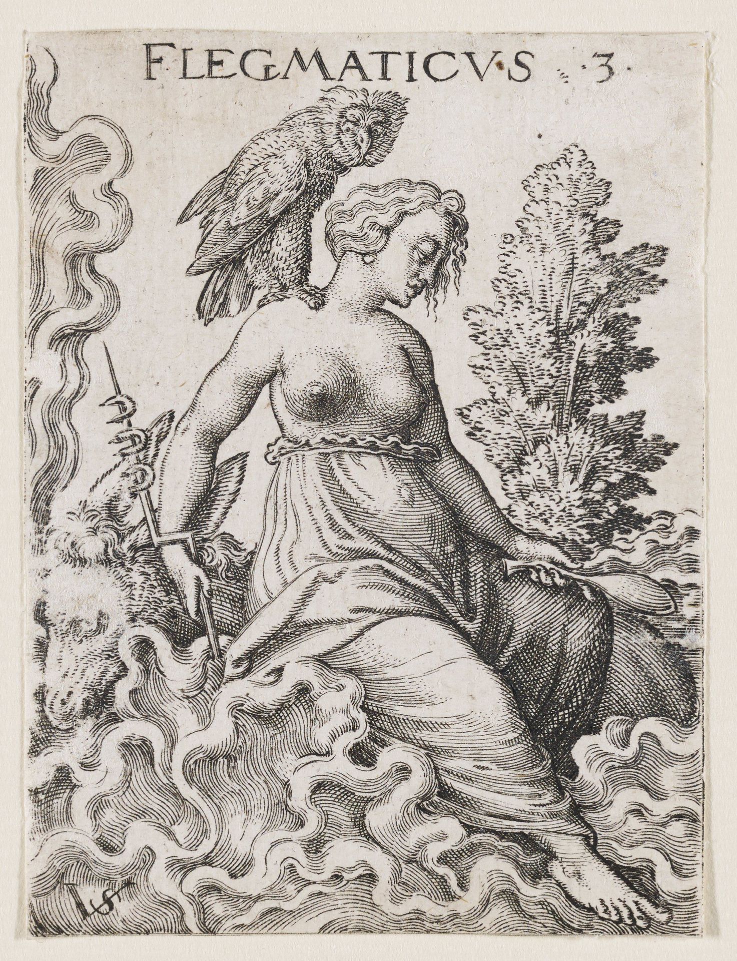Phlegmatic Temperament by Virgil Solis
