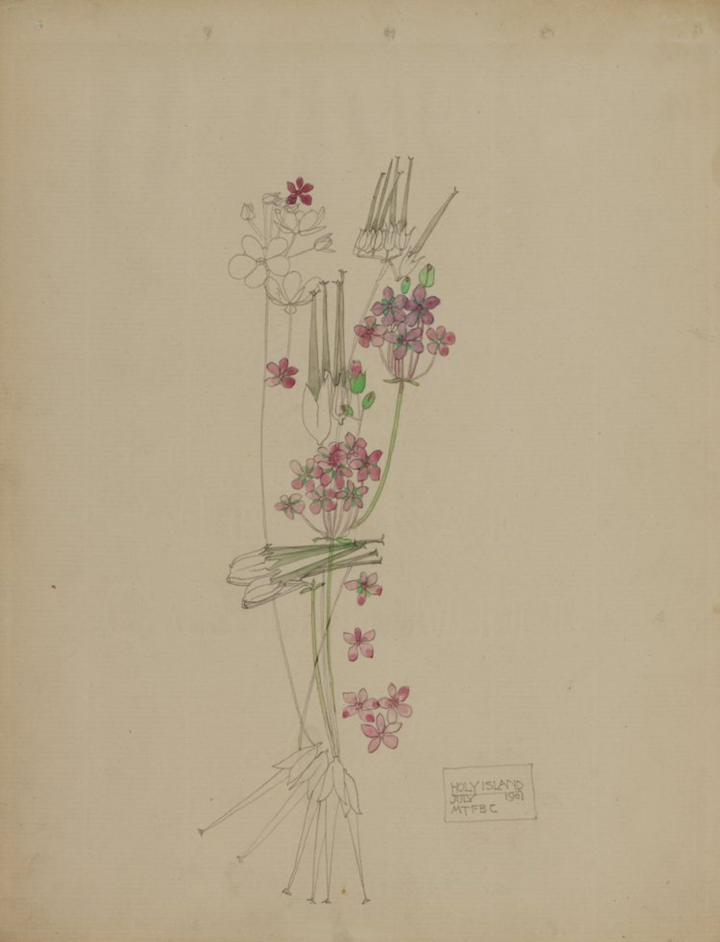 Stork's-bill, Holy Island by Charles Rennie Mackintosh