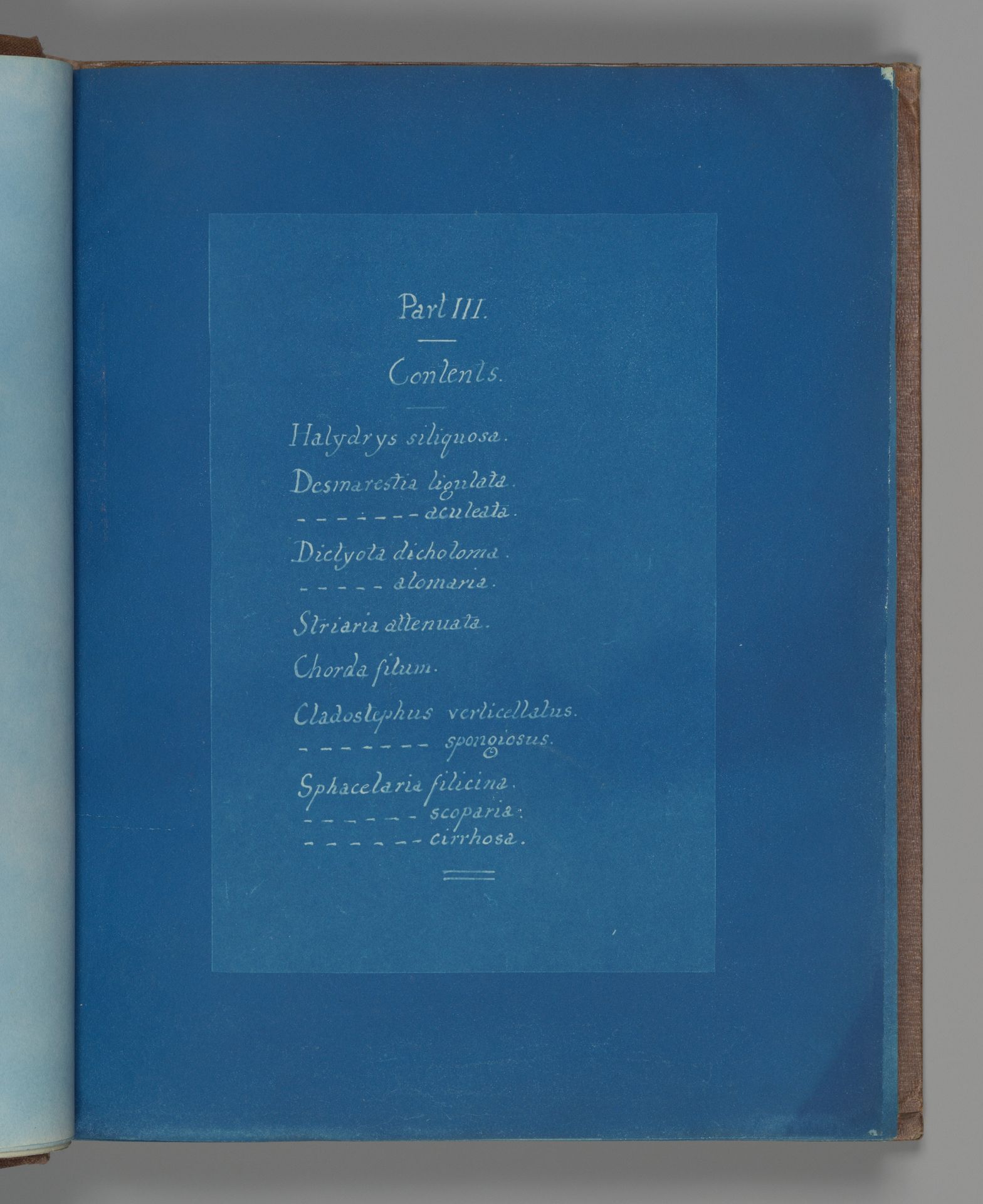 Part III Contents by Anna Atkins