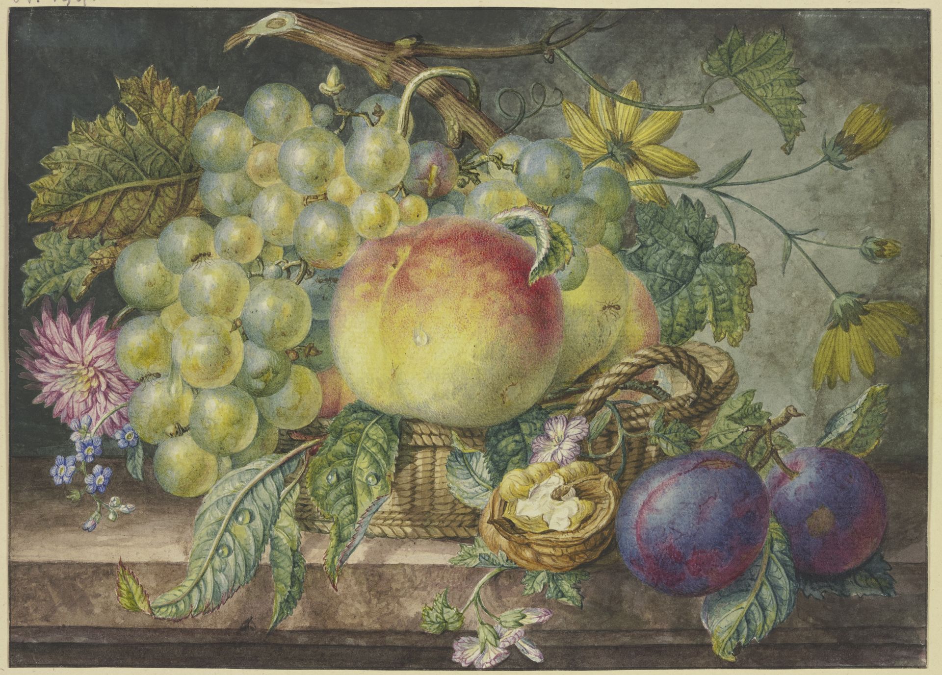 Fruchtstück, ein Korb mit Trauben und Pfirsichen, dabei eine Nuss und zwei Pflaumen by Oswald Wijnen