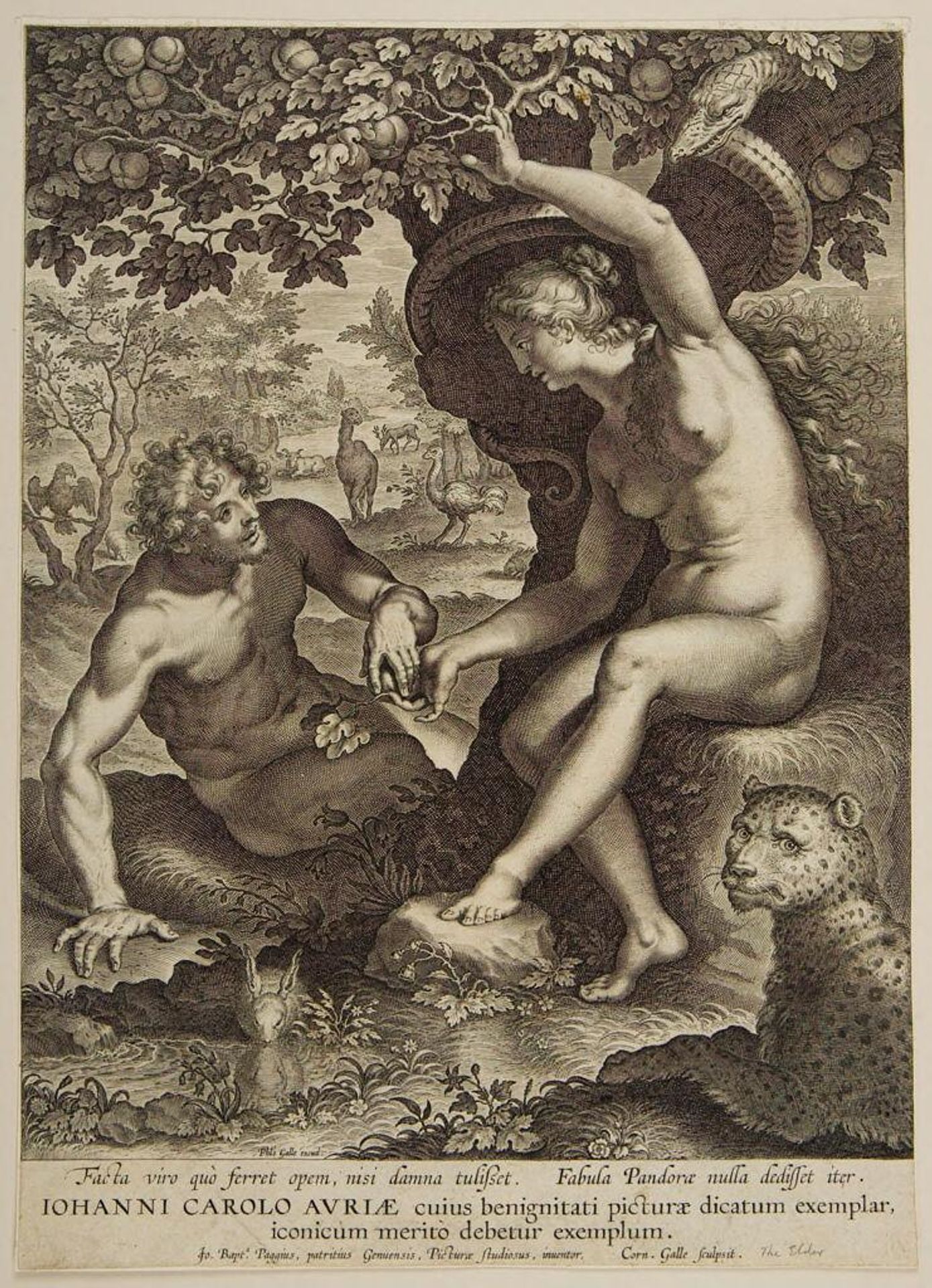 Adam and Eve by Cornelis Galle the Elder