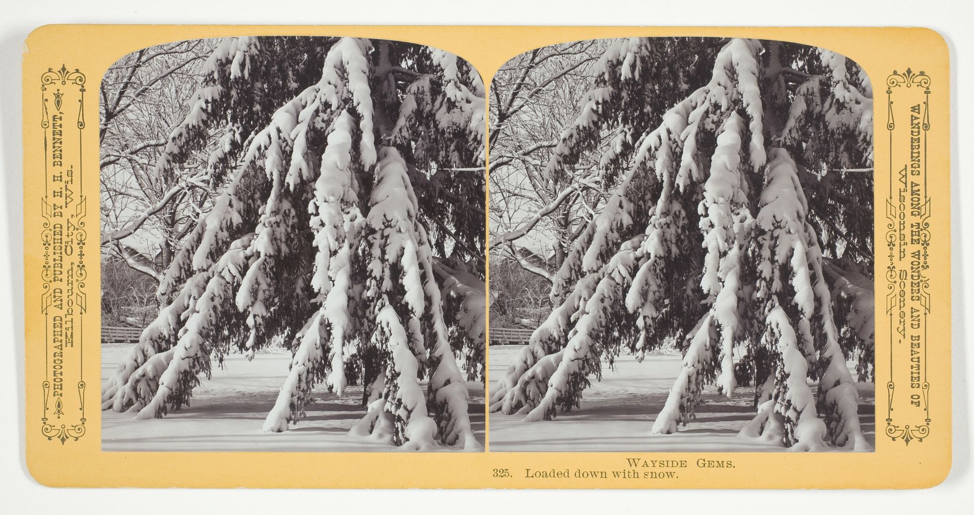 Loaded down with snow by Henry Hamilton Bennett