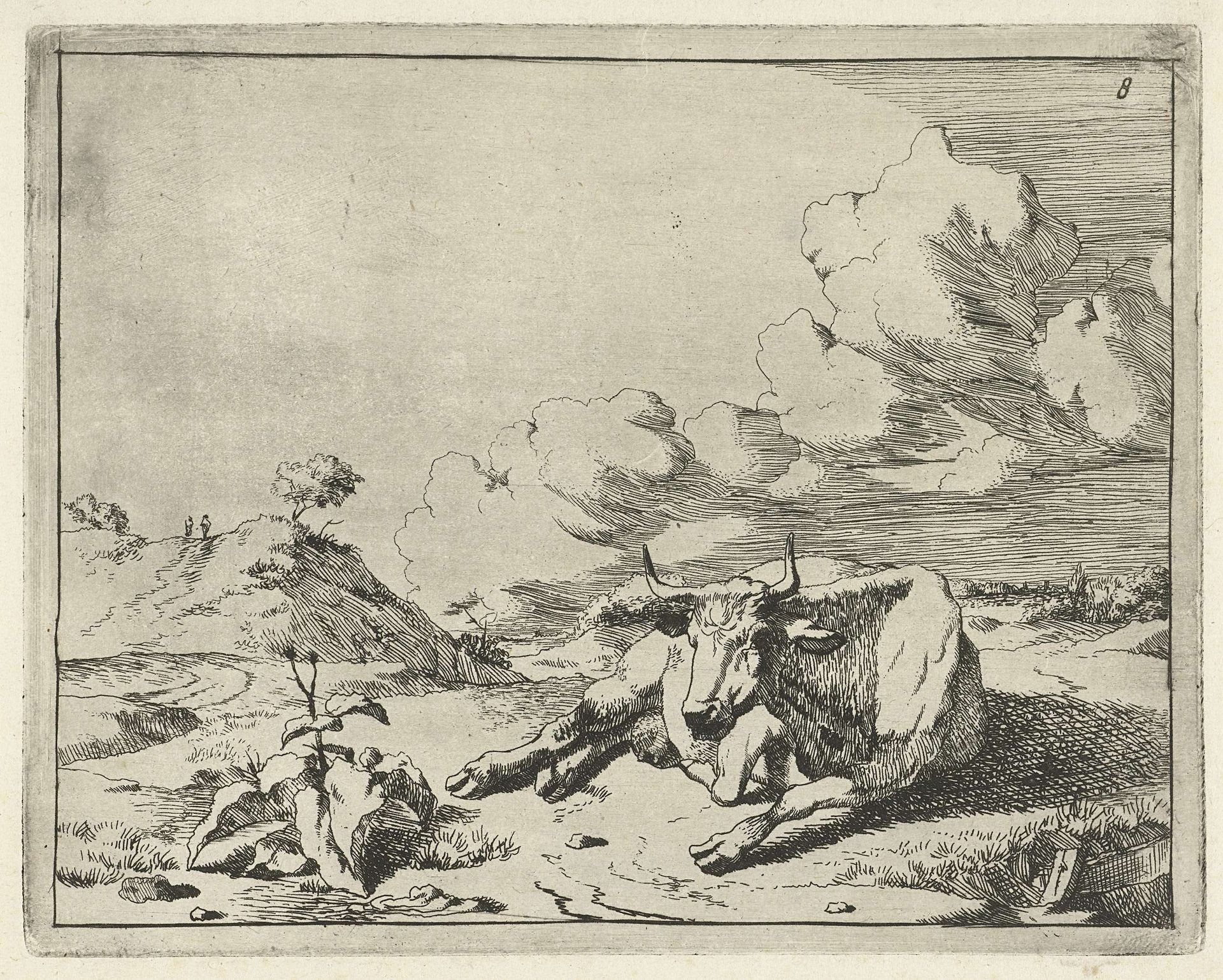 Liggende koe van voren gezien by Marcus de Bye