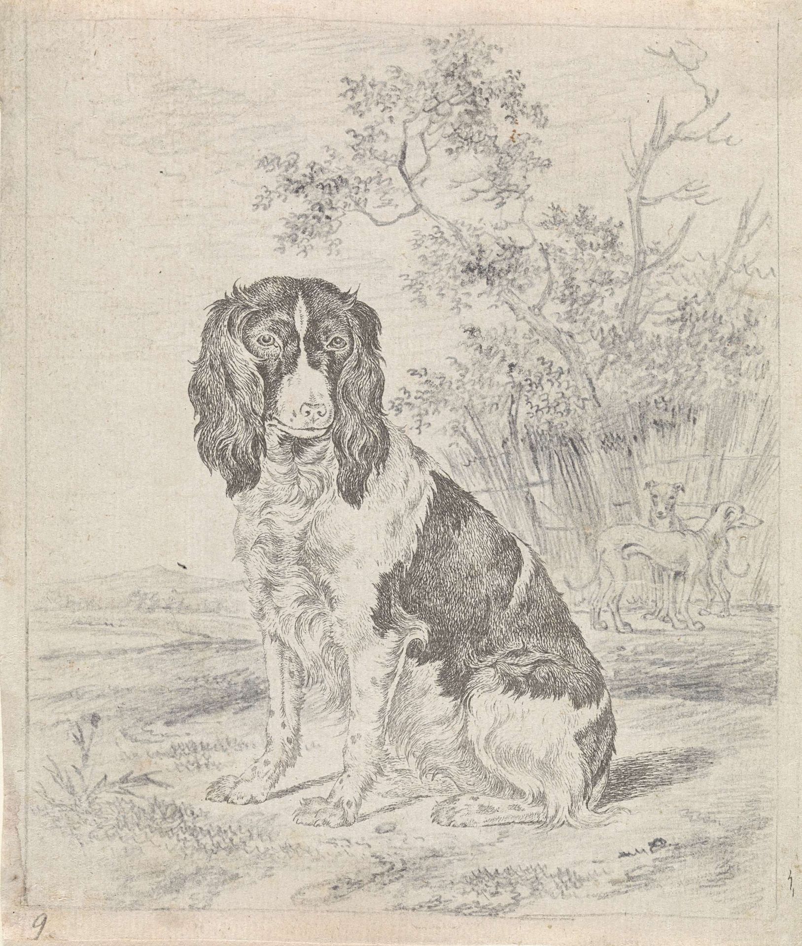 Zittende patrijshond by Pieter Janson