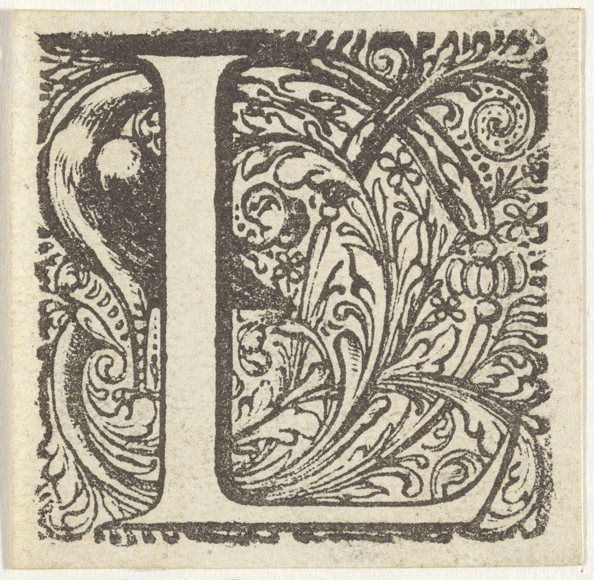 Letter L in een omlijsting met een vogel by Anonymous