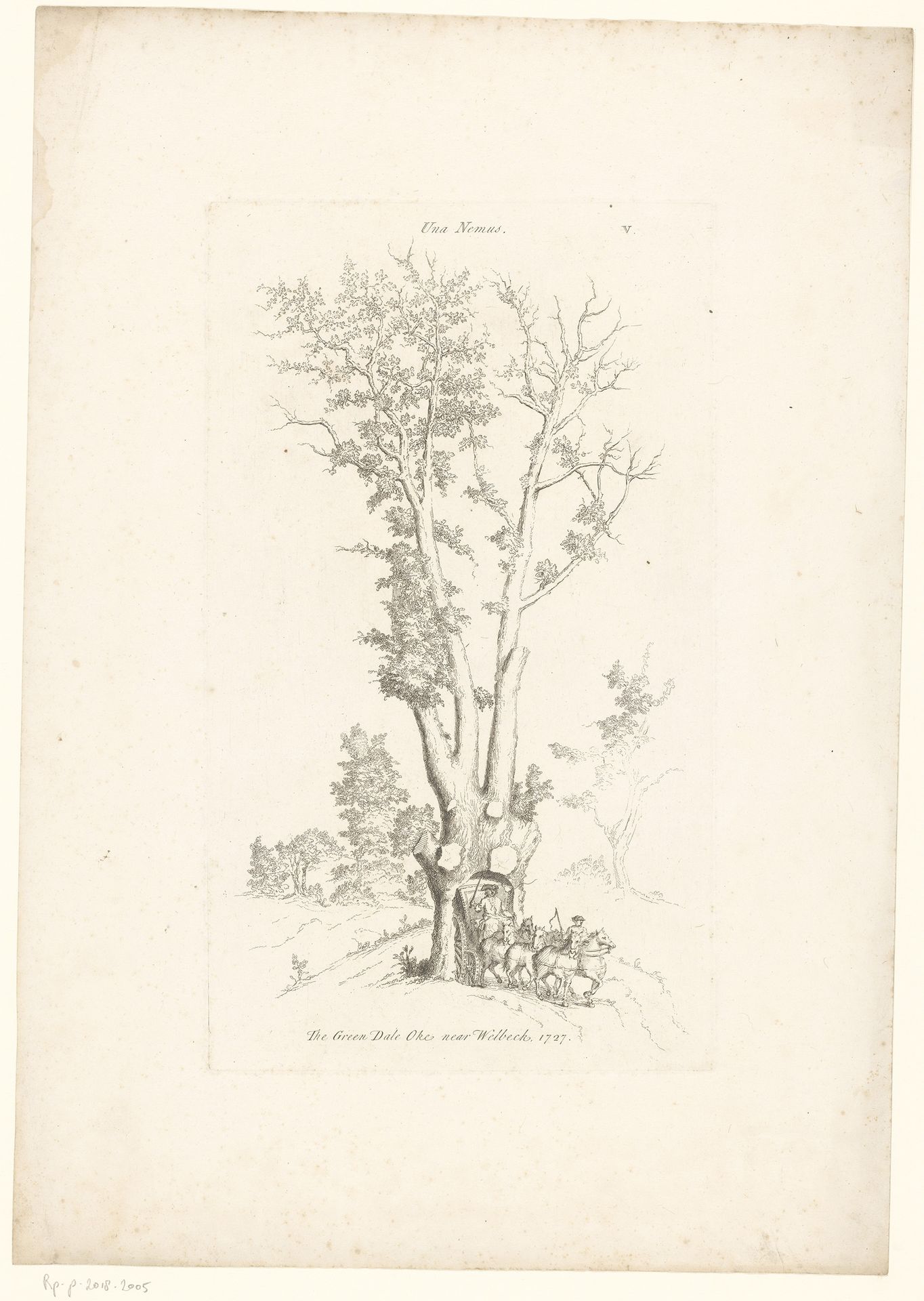 Gezicht op de Greendale Oak, waar een koets doorheen rijdt by George Vertue