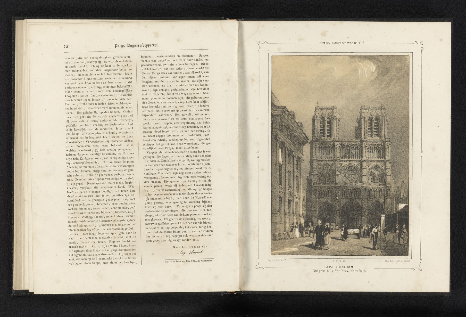 Gezicht op de Notre-Dame van Parijs by Thomas Shotter Boys