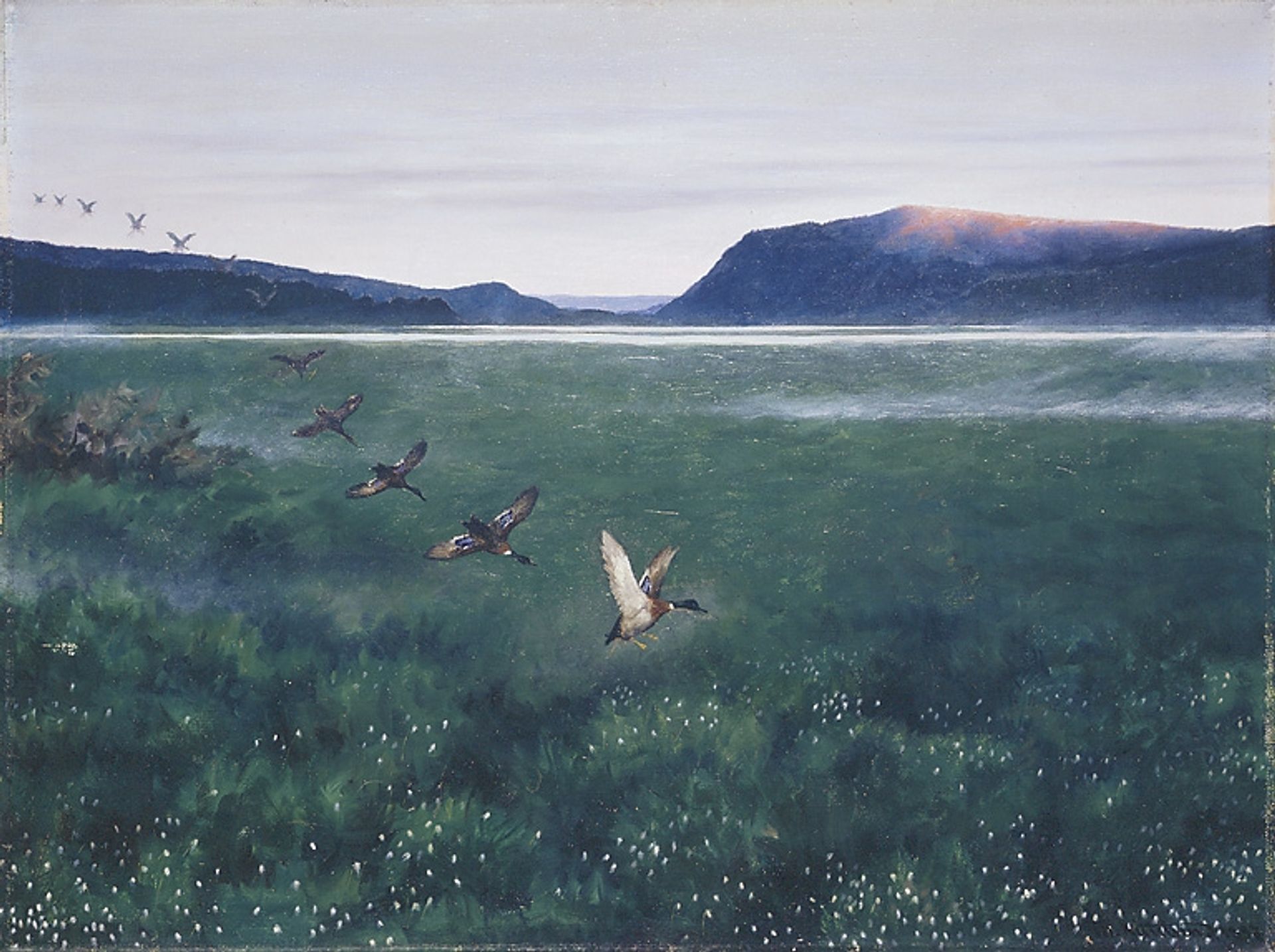 The 12 wild ducks 12 villender by Theodor Severin Kittelsen