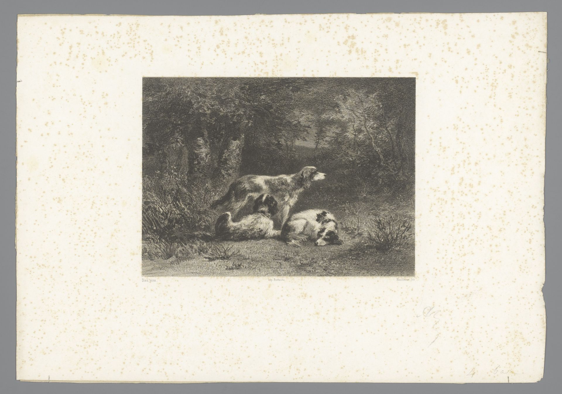 Drie honden in een bos by Adolphe Mouilleron