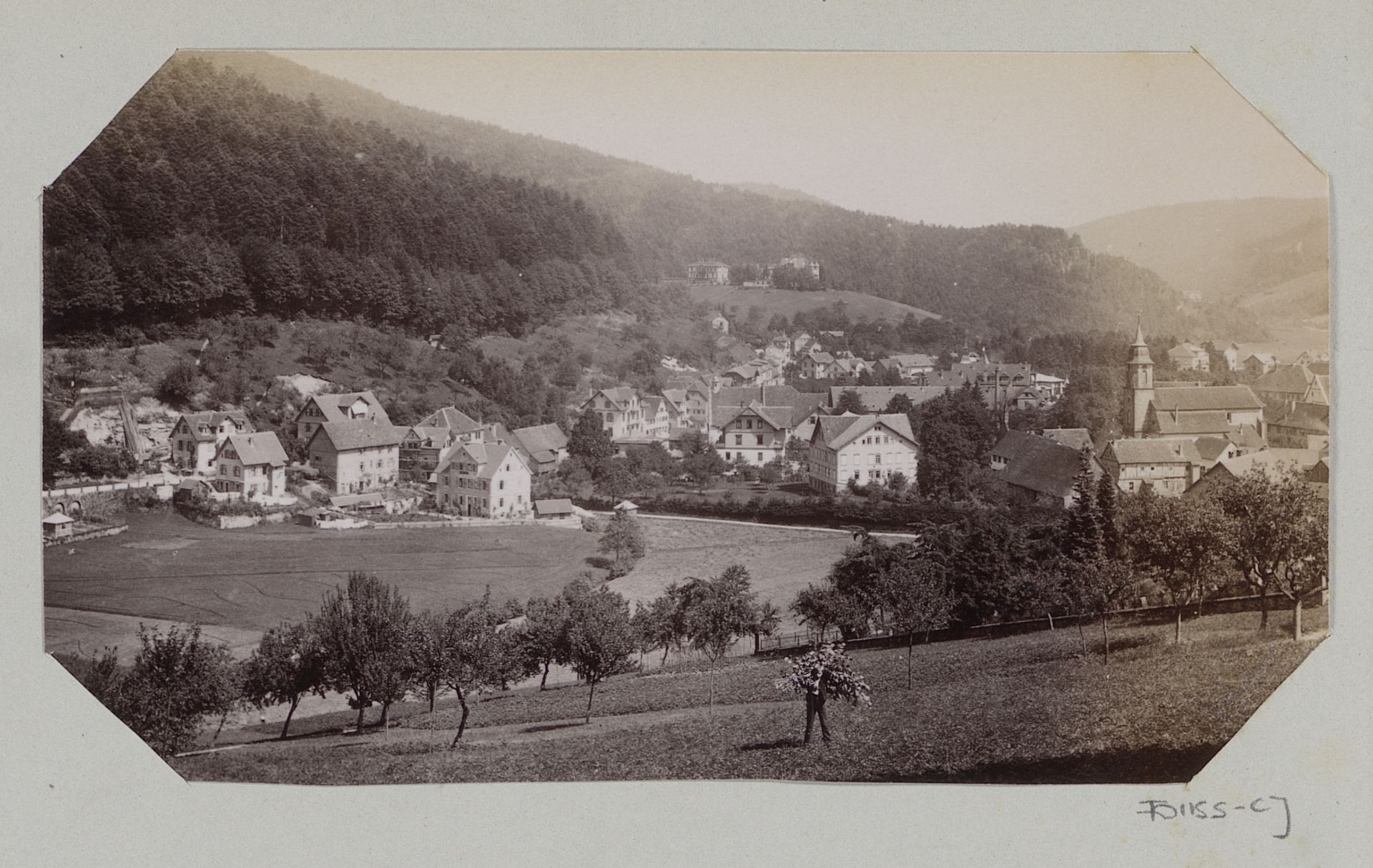 Gezicht op Bad Herrenalb by Albert Schmidt