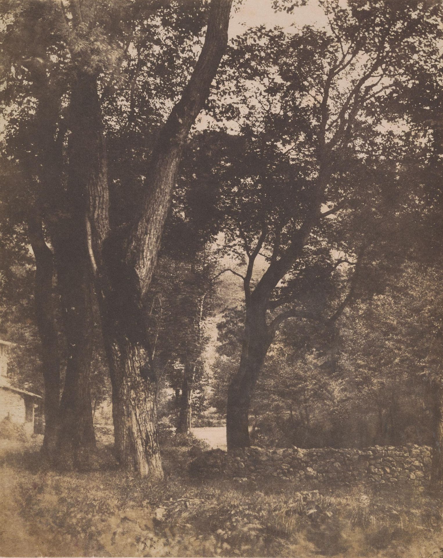 Untitled (landscape with trees) by AndrÃ© Giroux