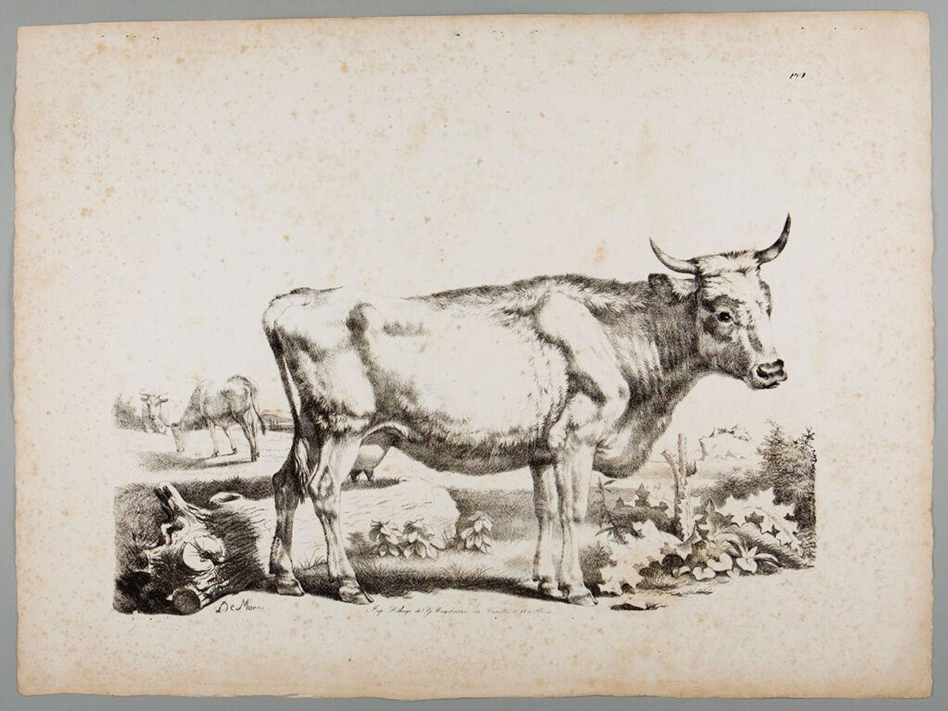 A Cow by Jean Louis de Marne