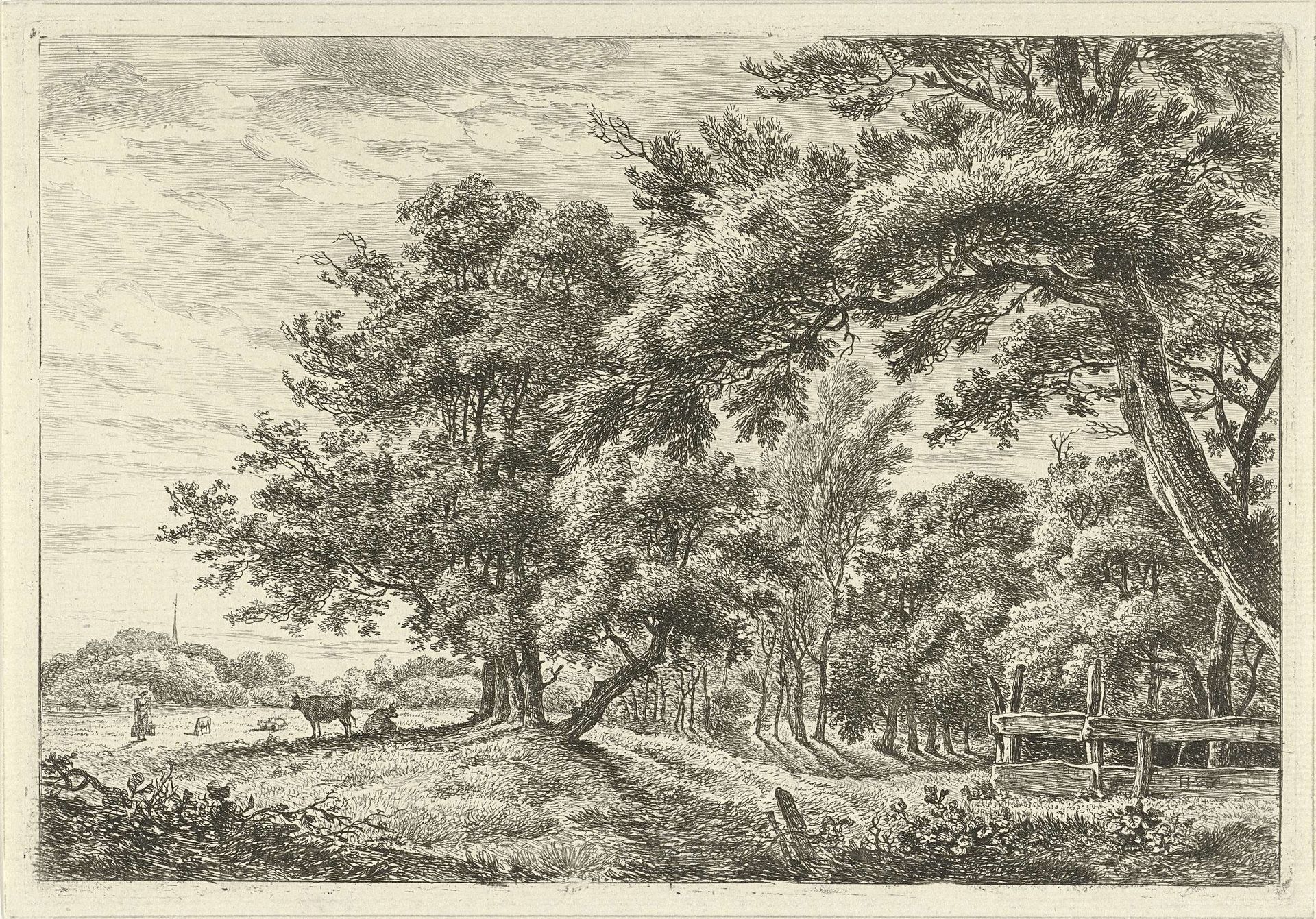 Landschap met twee koeien in de schaduw by Hermanus Fock