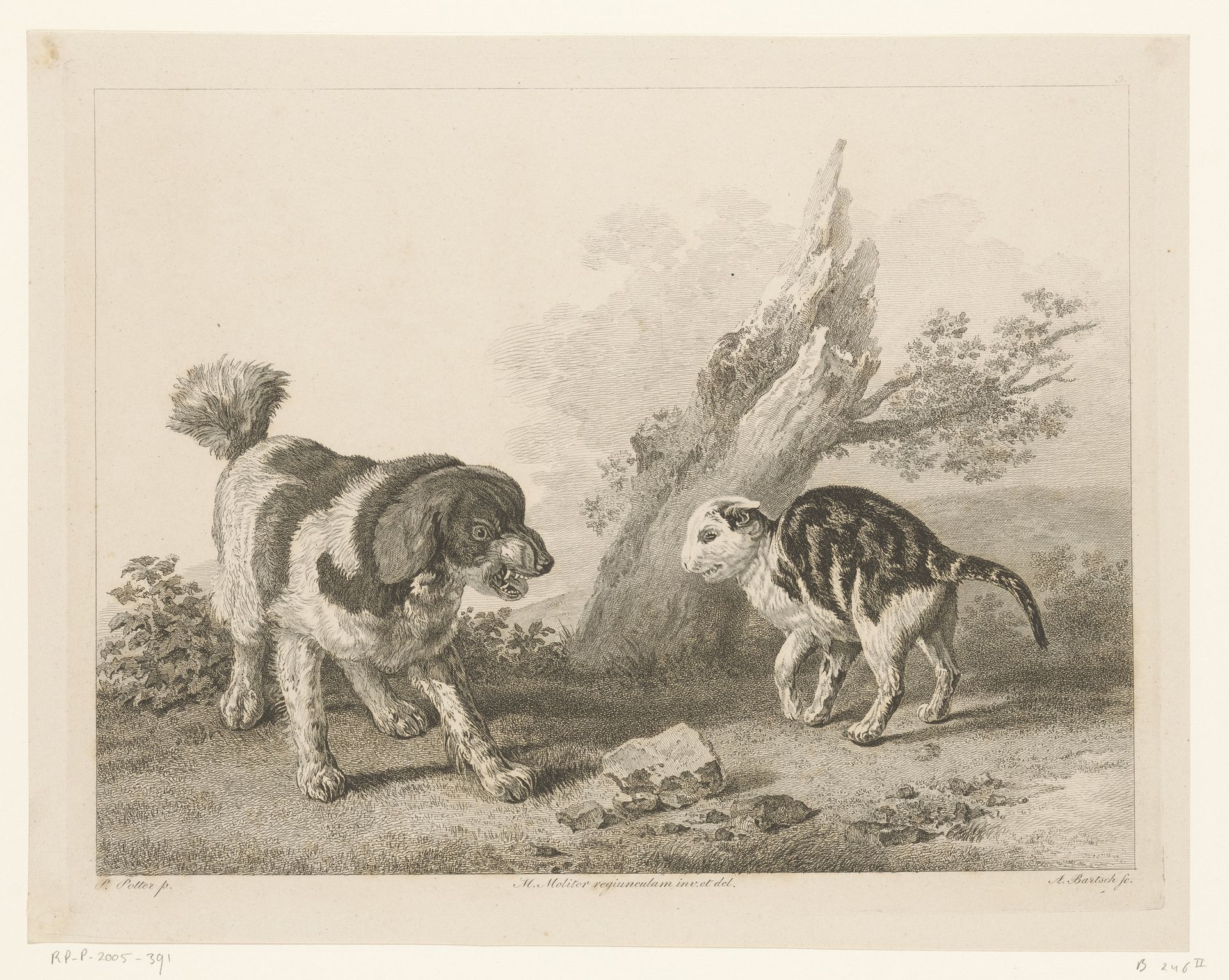 Hond en kat in vechthouding tegenover elkaar by Adam von Bartsch