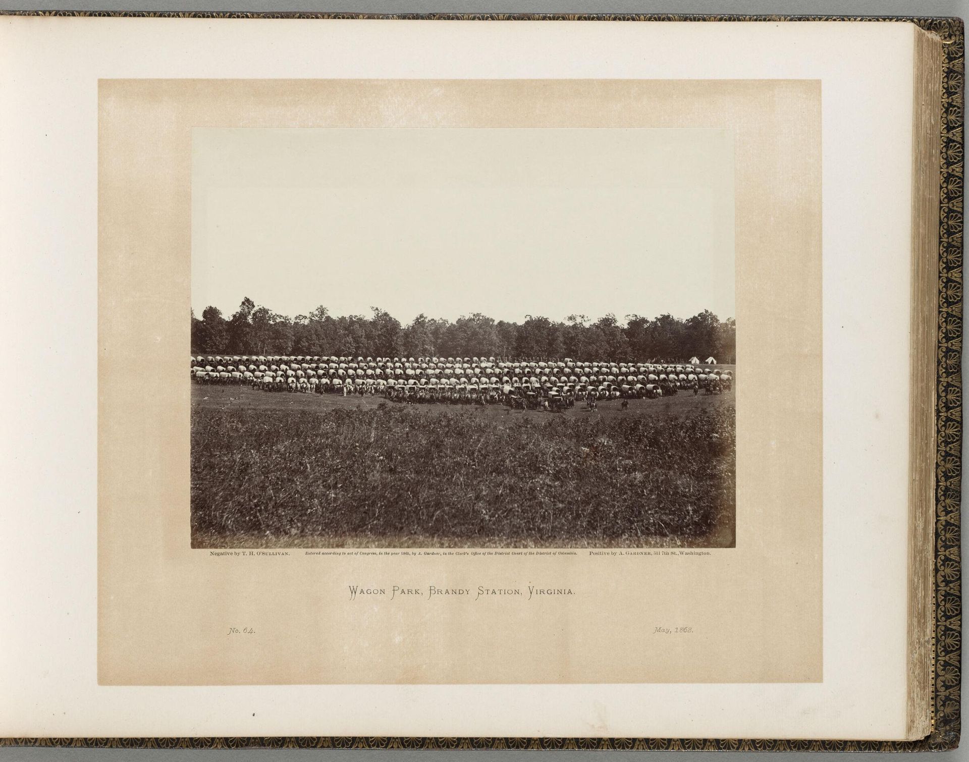Wagon Park, Brandy Station, Virginia by Timothy H. O'Sullivan