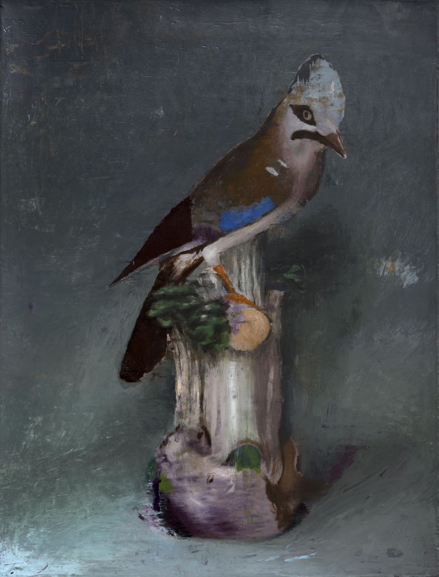 Parakeet by Cristiano Tassinari