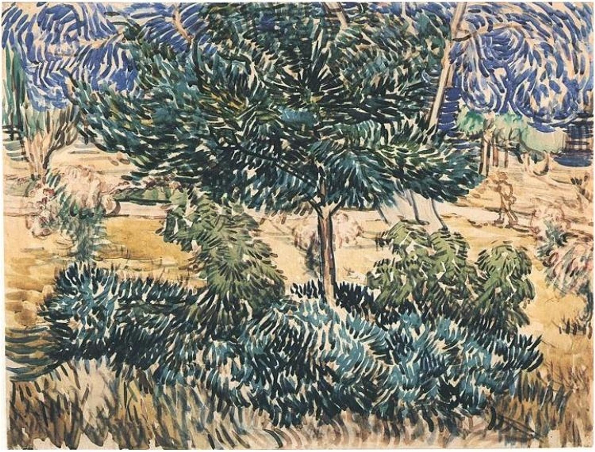 Trees and Shrubs by Vincent van Gogh