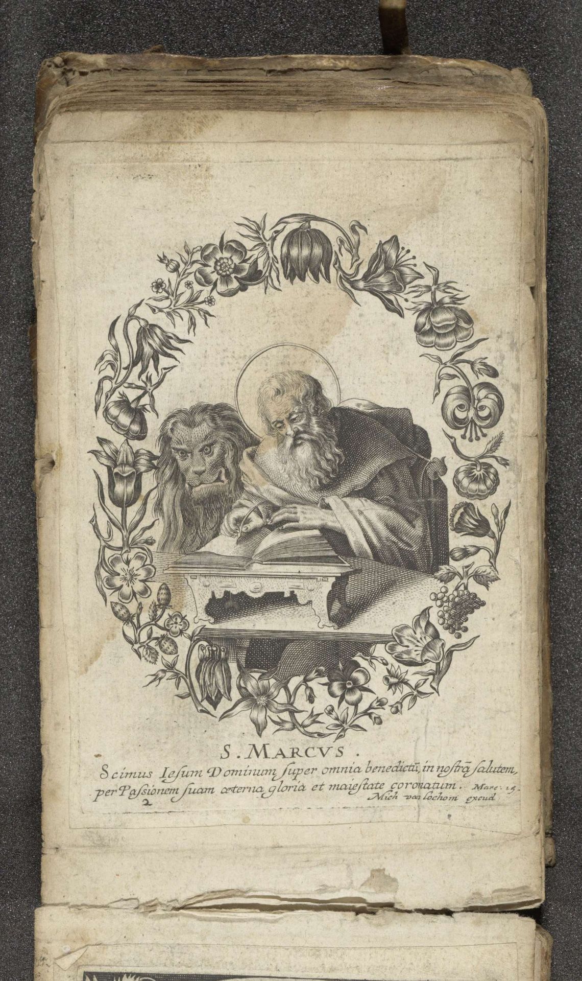 Evangelist Marcus by Michel van Lochom