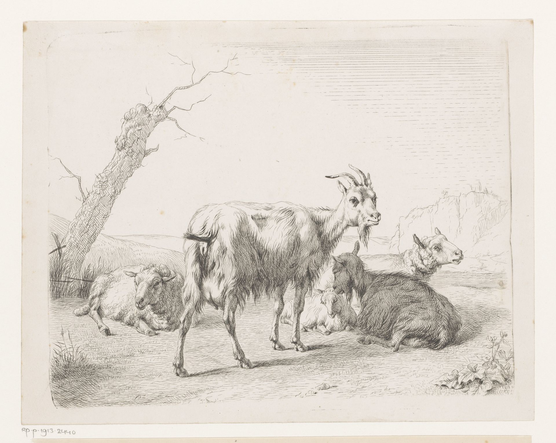 Geiten en schapen by Hendrik Jozef Franciscus van der Poorten