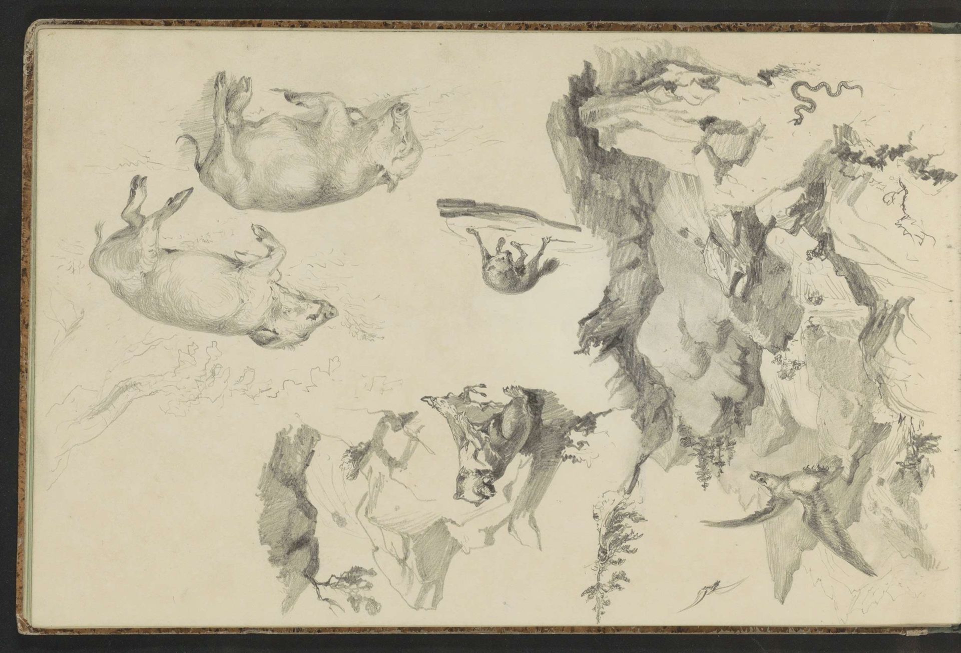 Rotslandschap met een adelaar en een slang by Johannes Tavenraat