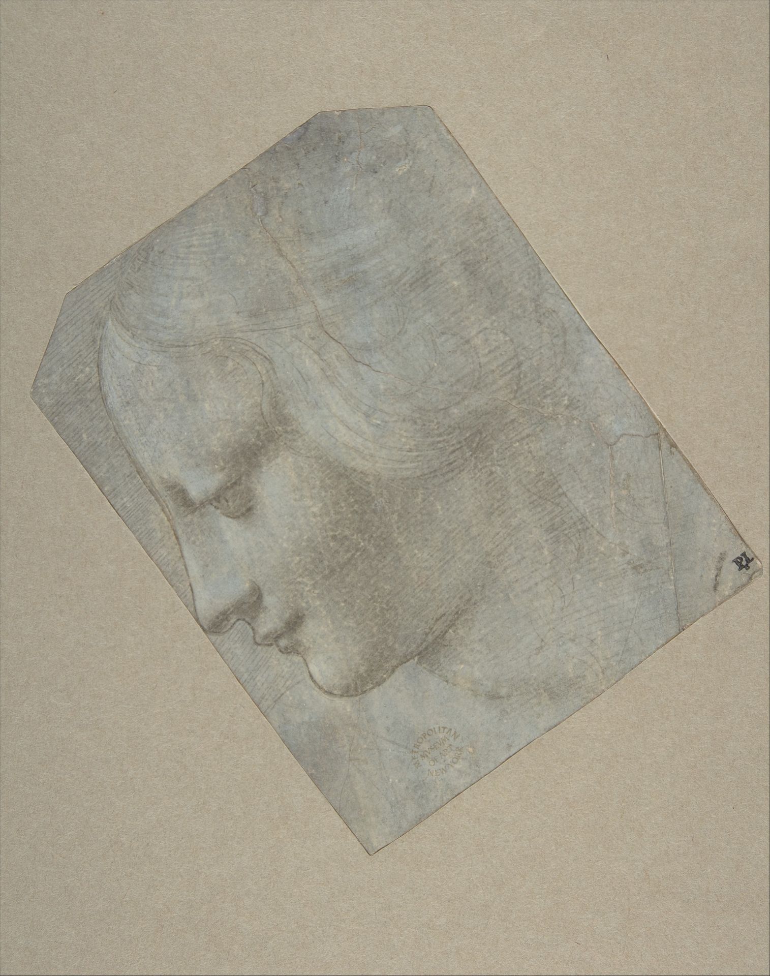 The Head of a Woman in Profile Facing Left by Giovanni Antonio Boltraffio