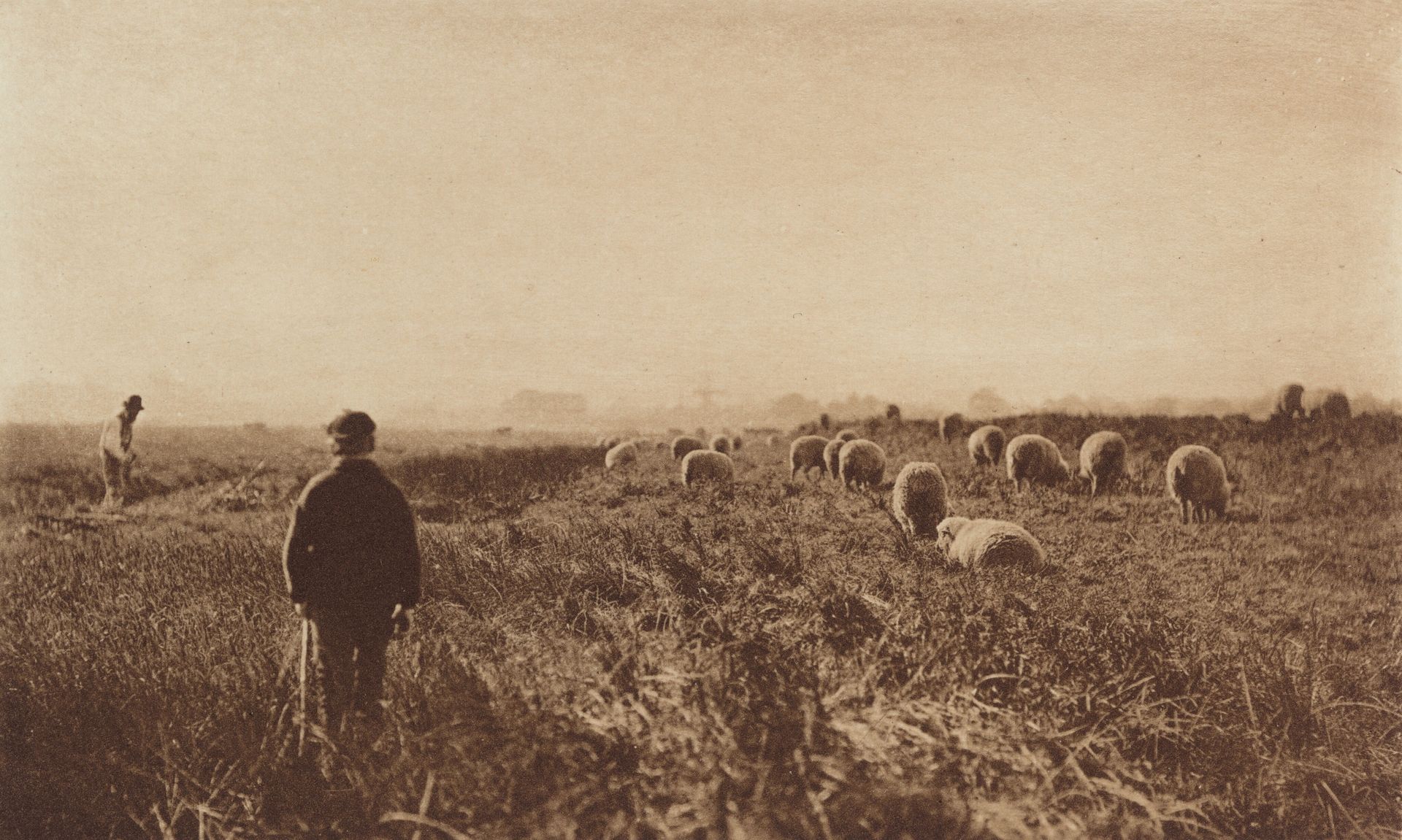 The Marshes in June by Peter Henry Emerson